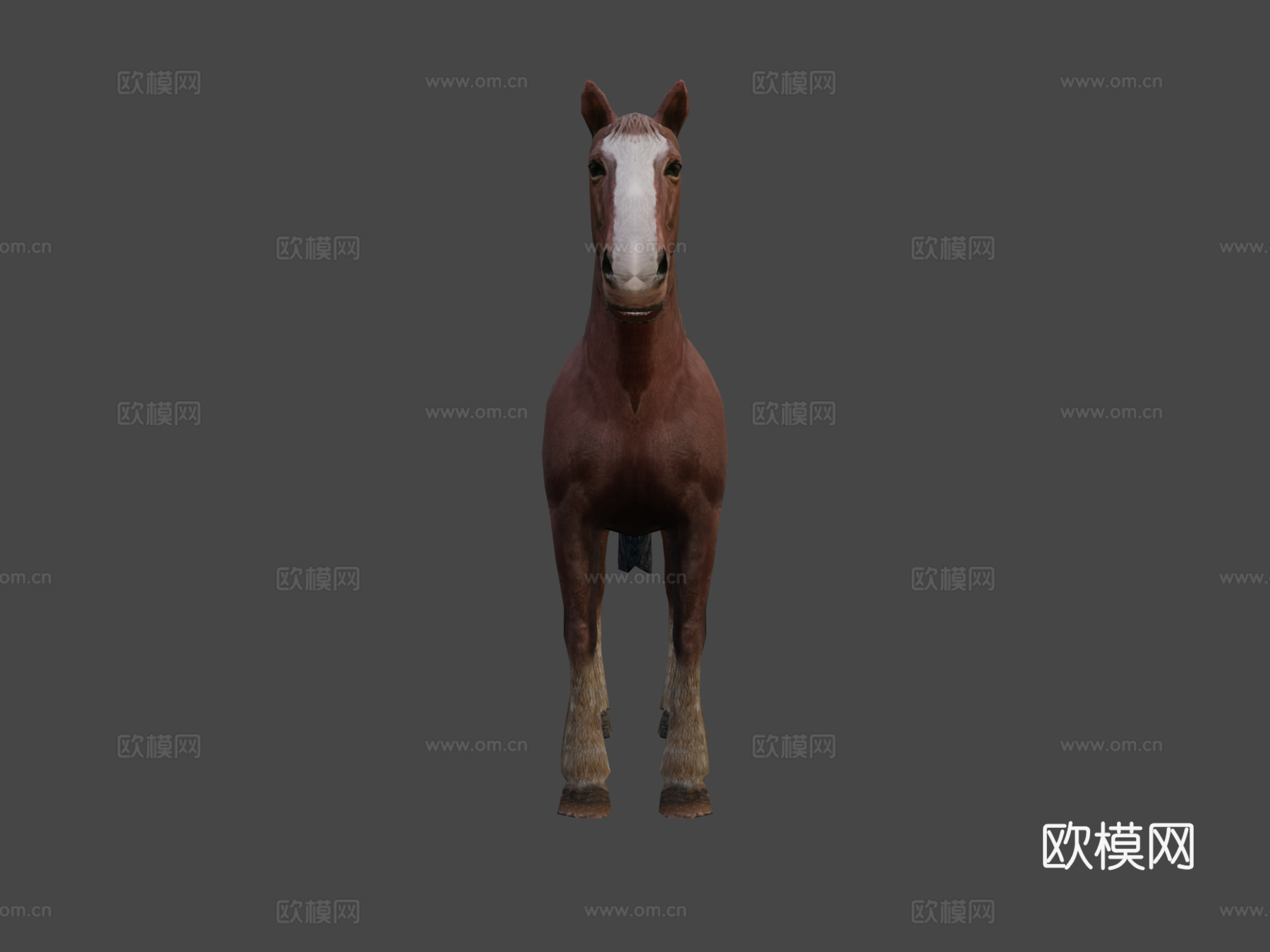 马绑定3d模型