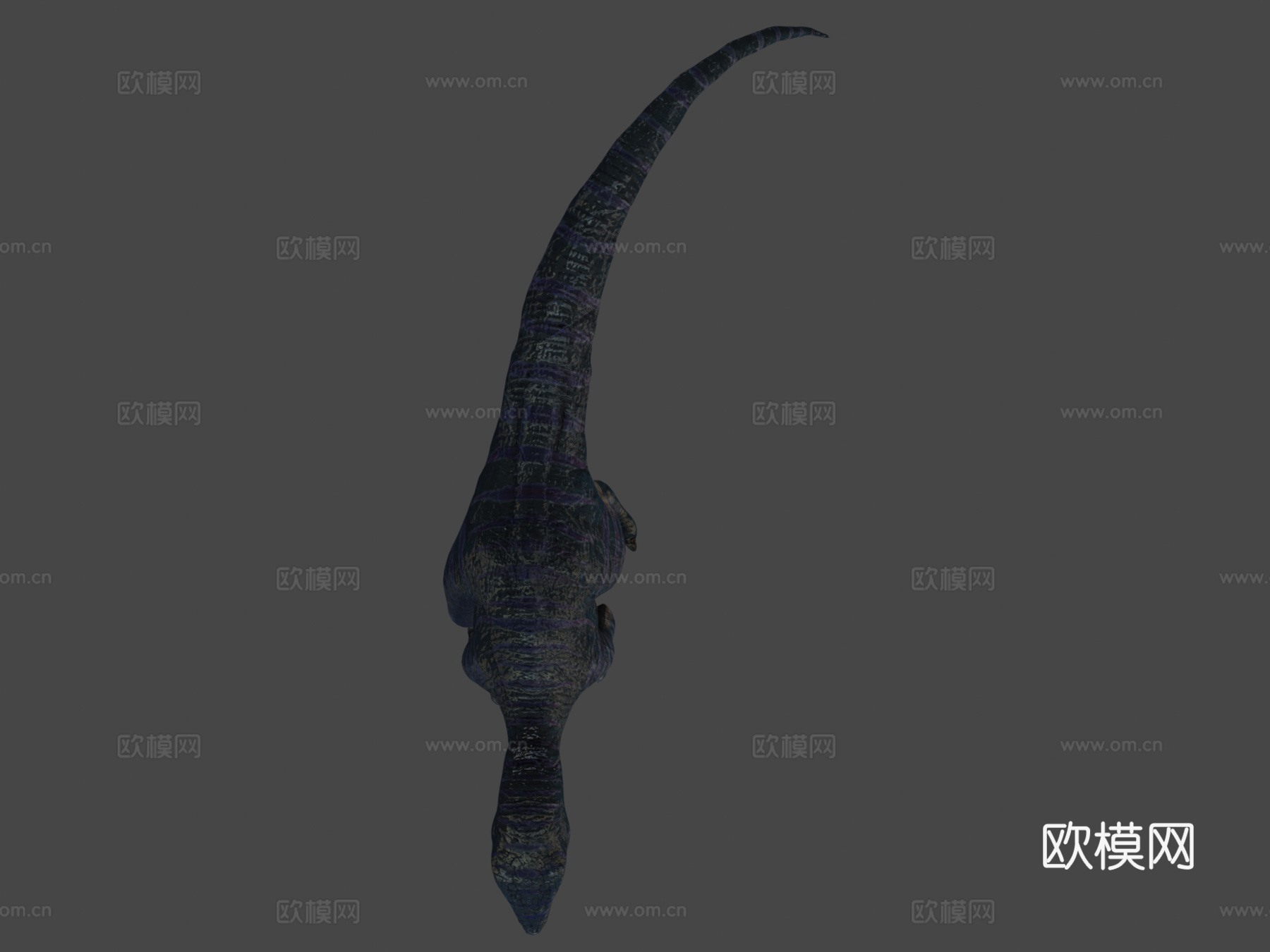 迅猛龙3d模型