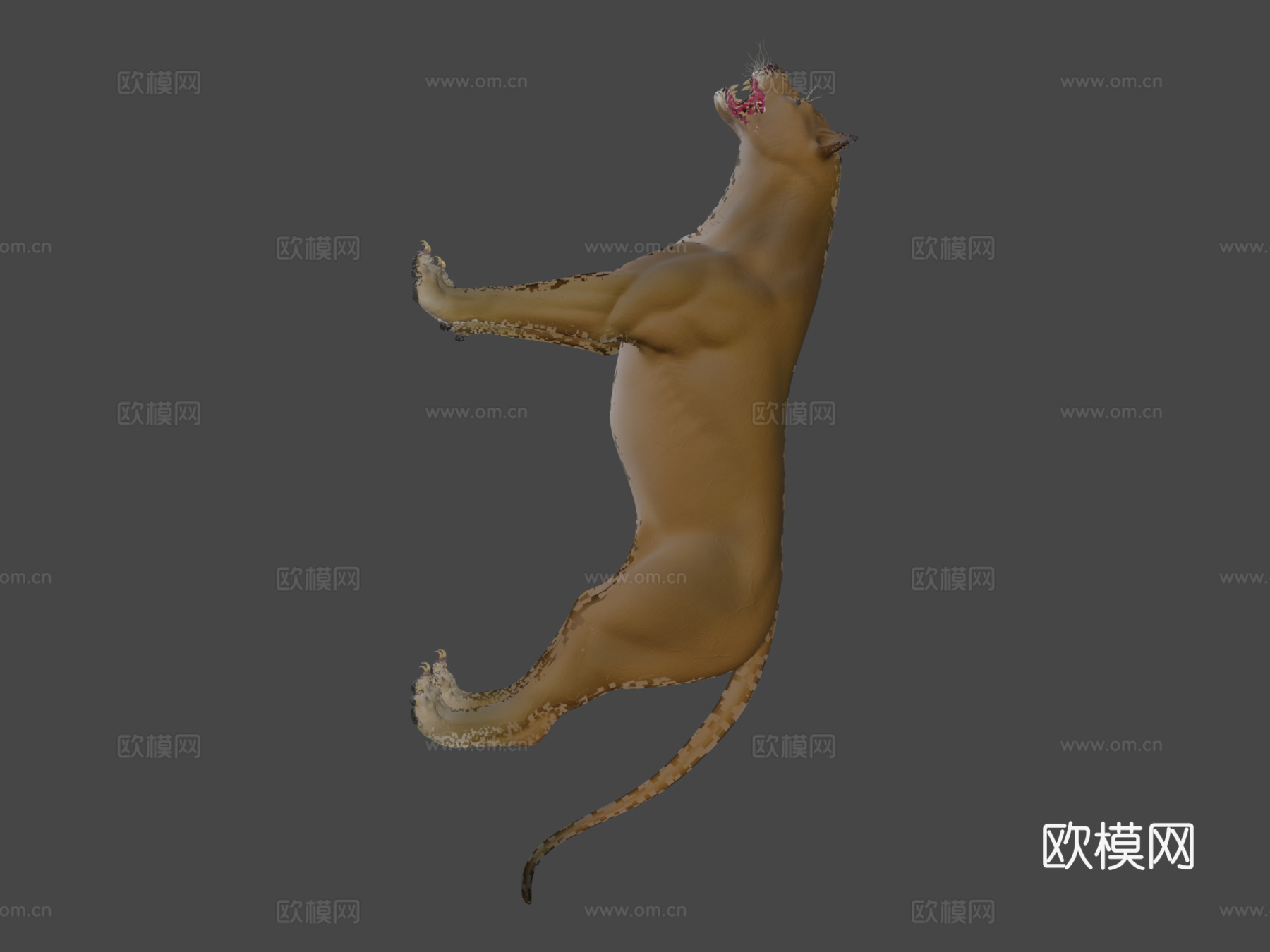 免费强壮母狮-4K3d模型