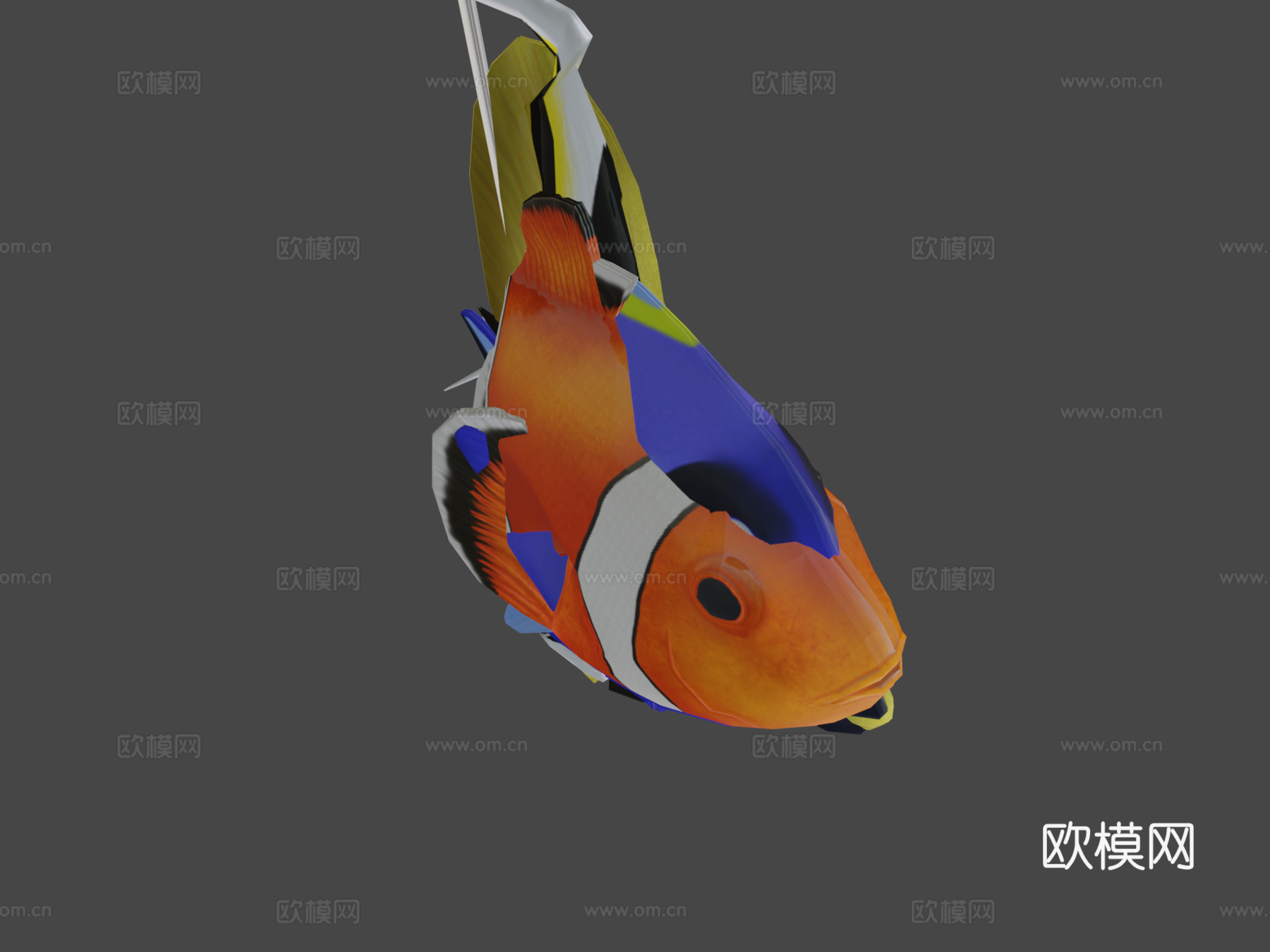 热带鱼群游动动画循环3d模型