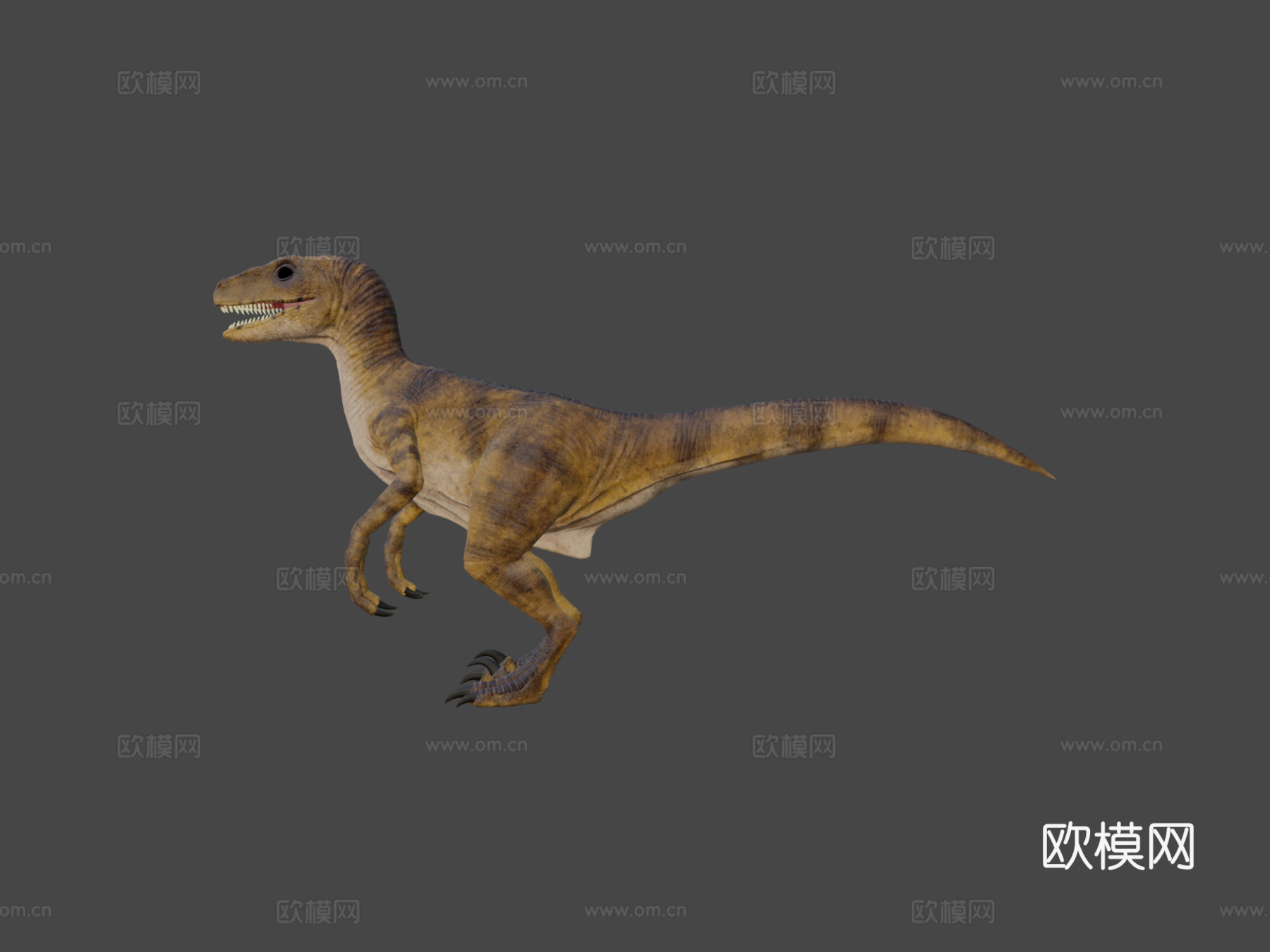 迅猛龙3d模型