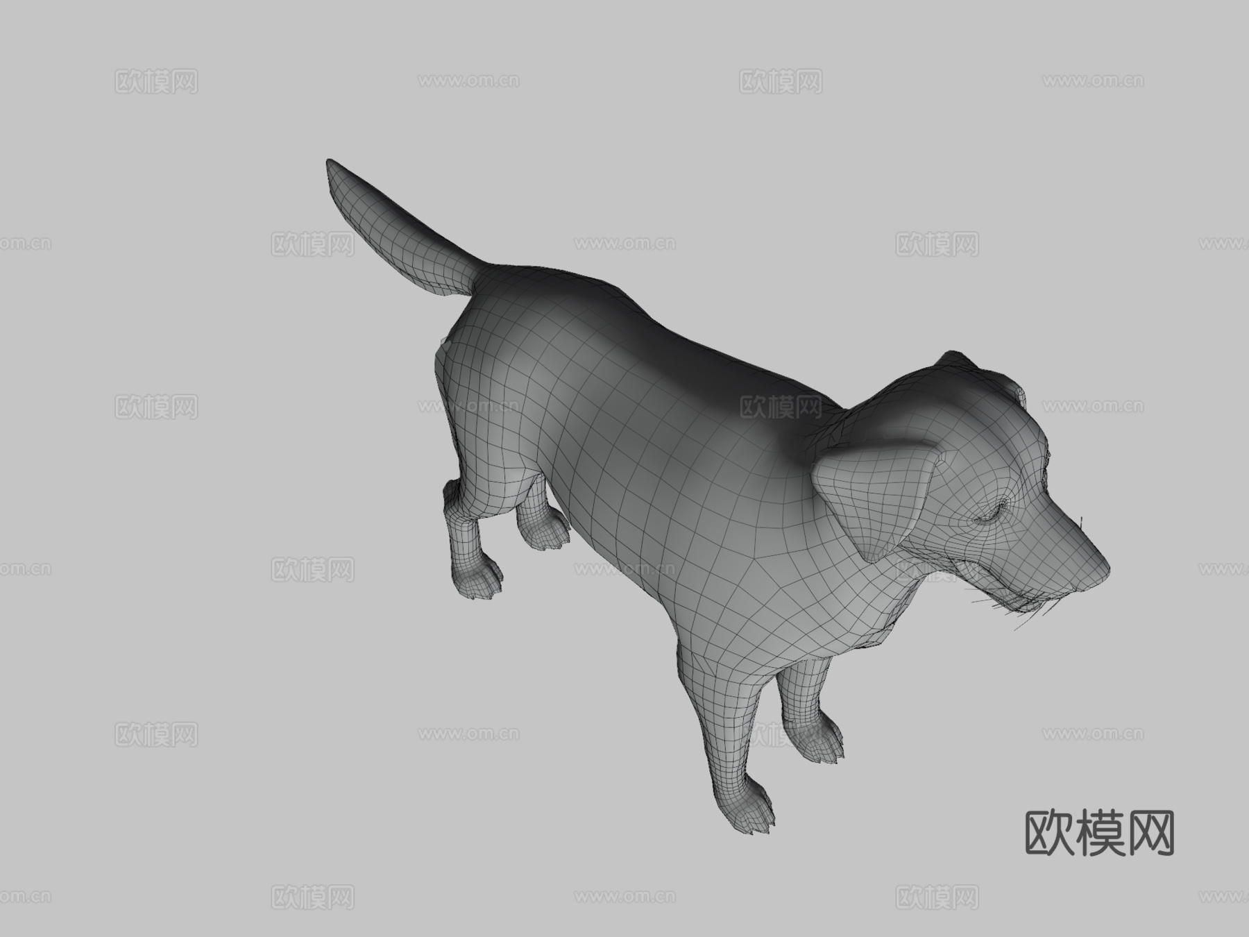 狗狗-拉布拉多v02版3d模型