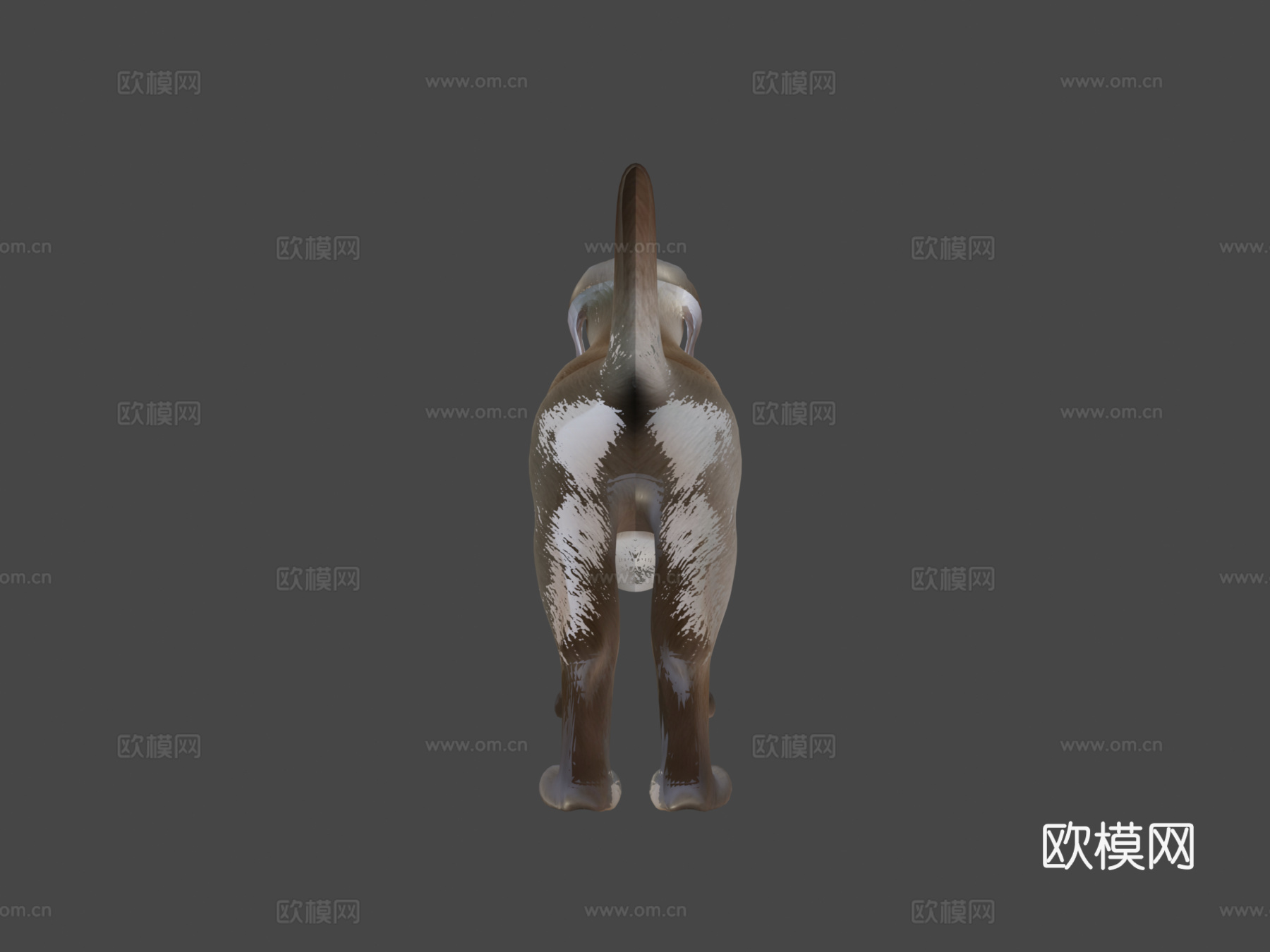 狗3d模型
