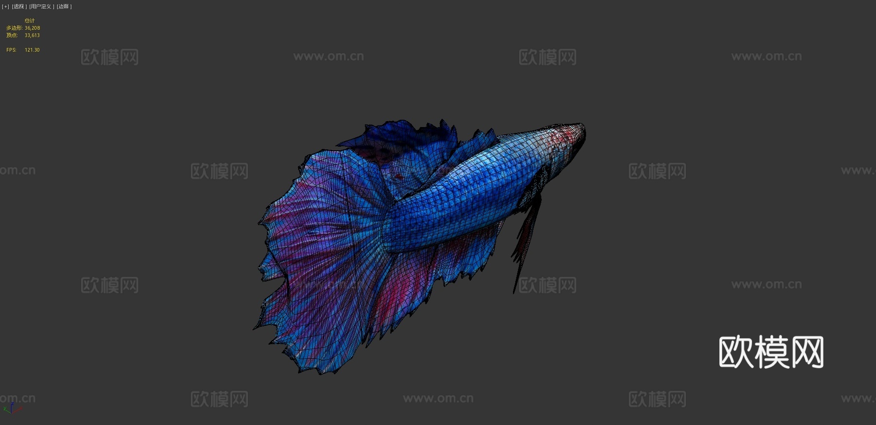 热带=河流=鱼33d模型
