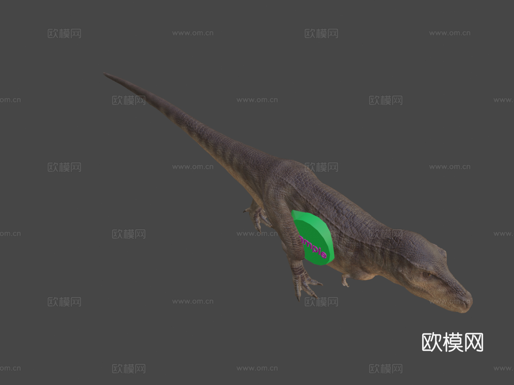 霸王龙3d模型