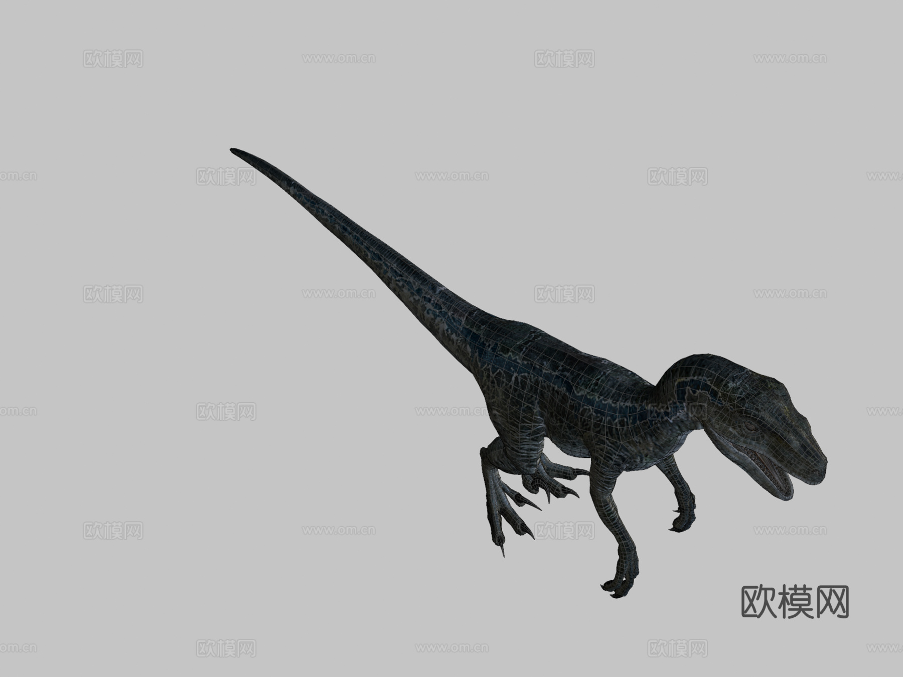 迅猛龙蓝色3d模型