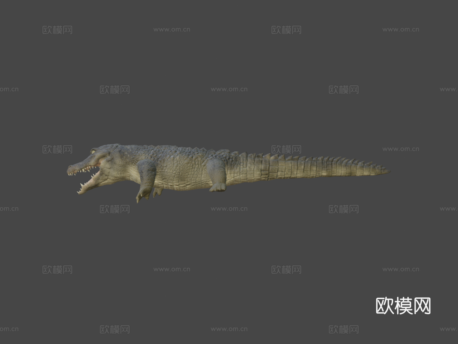 鳄鱼动画3d模型