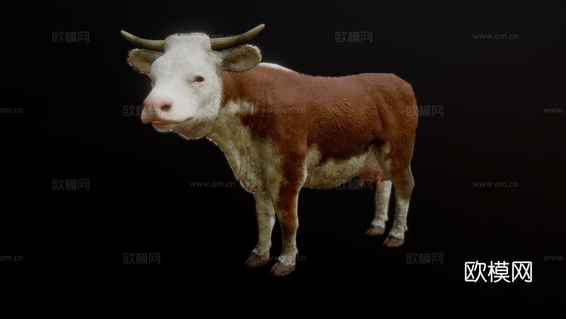 奶牛动画3d模型