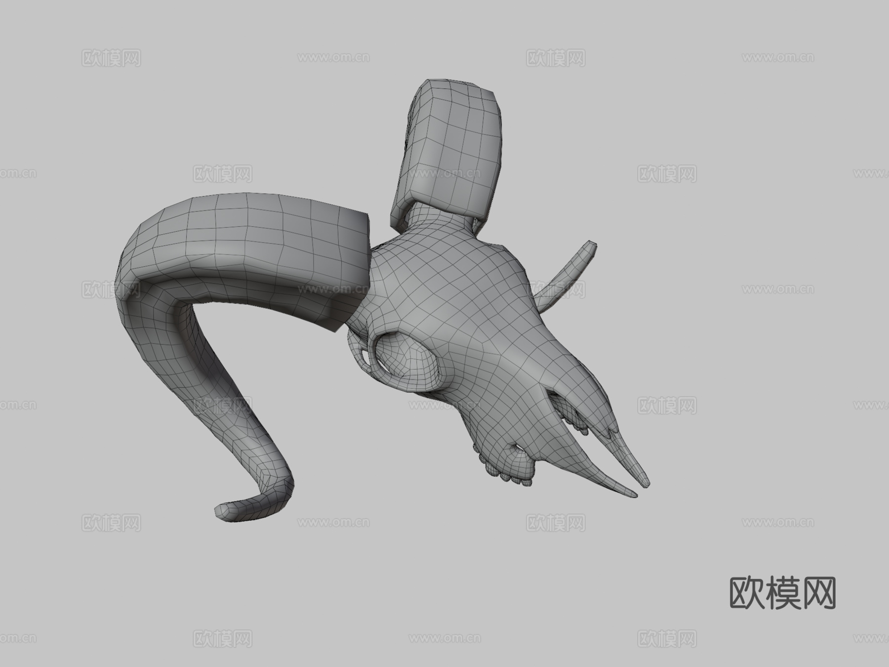 山羊头骨3d模型