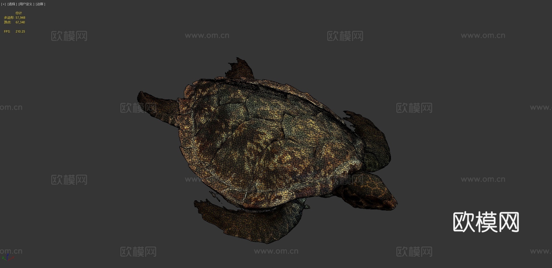 海龟3d模型