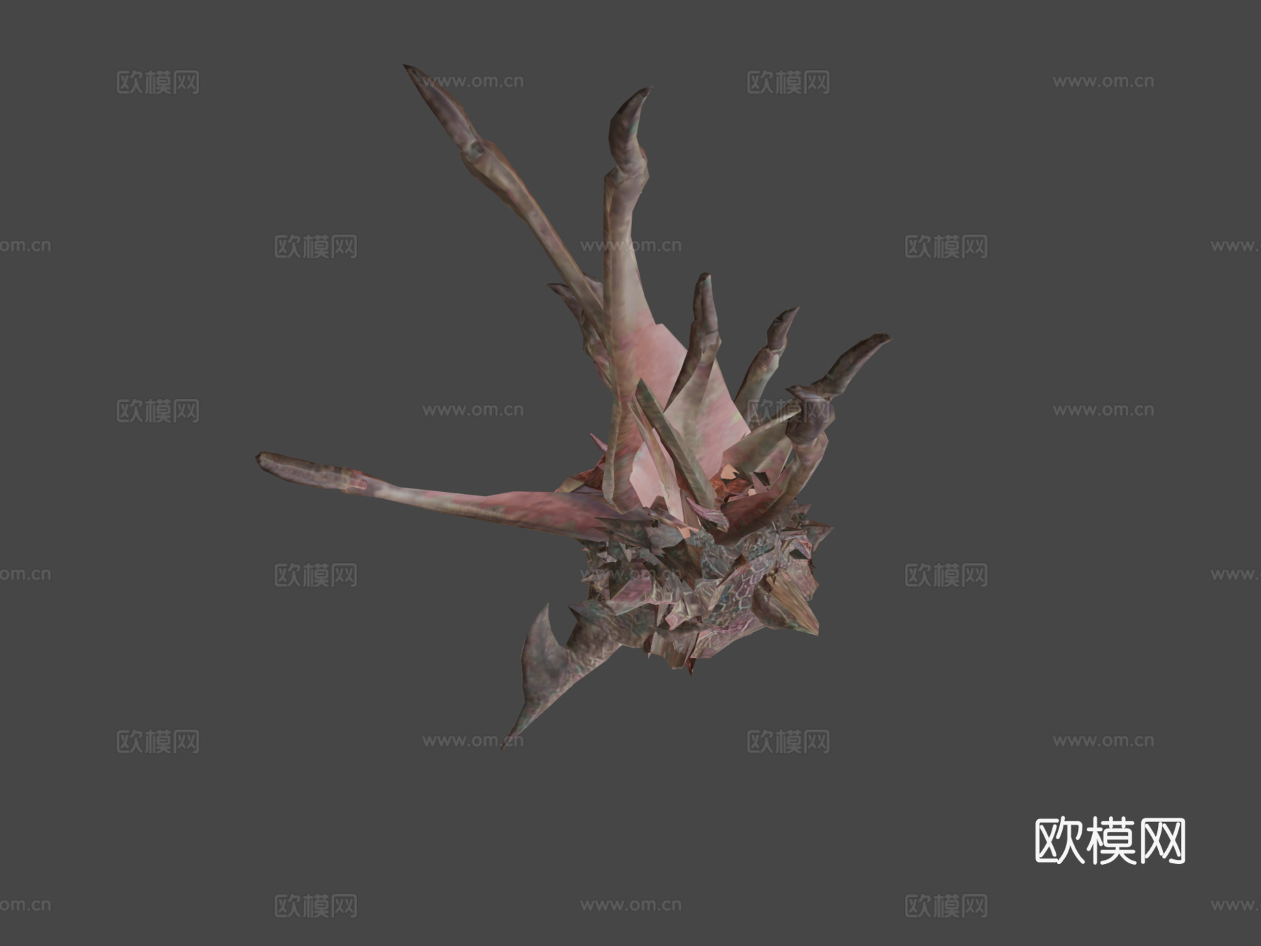 双足飞龙动画(青雉)_13d模型