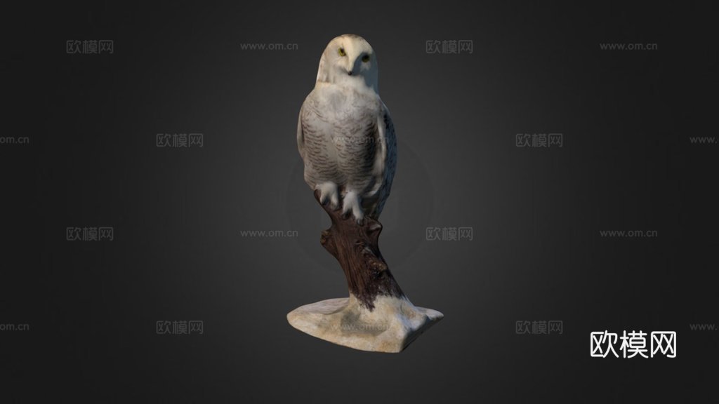 雪鸮3d模型