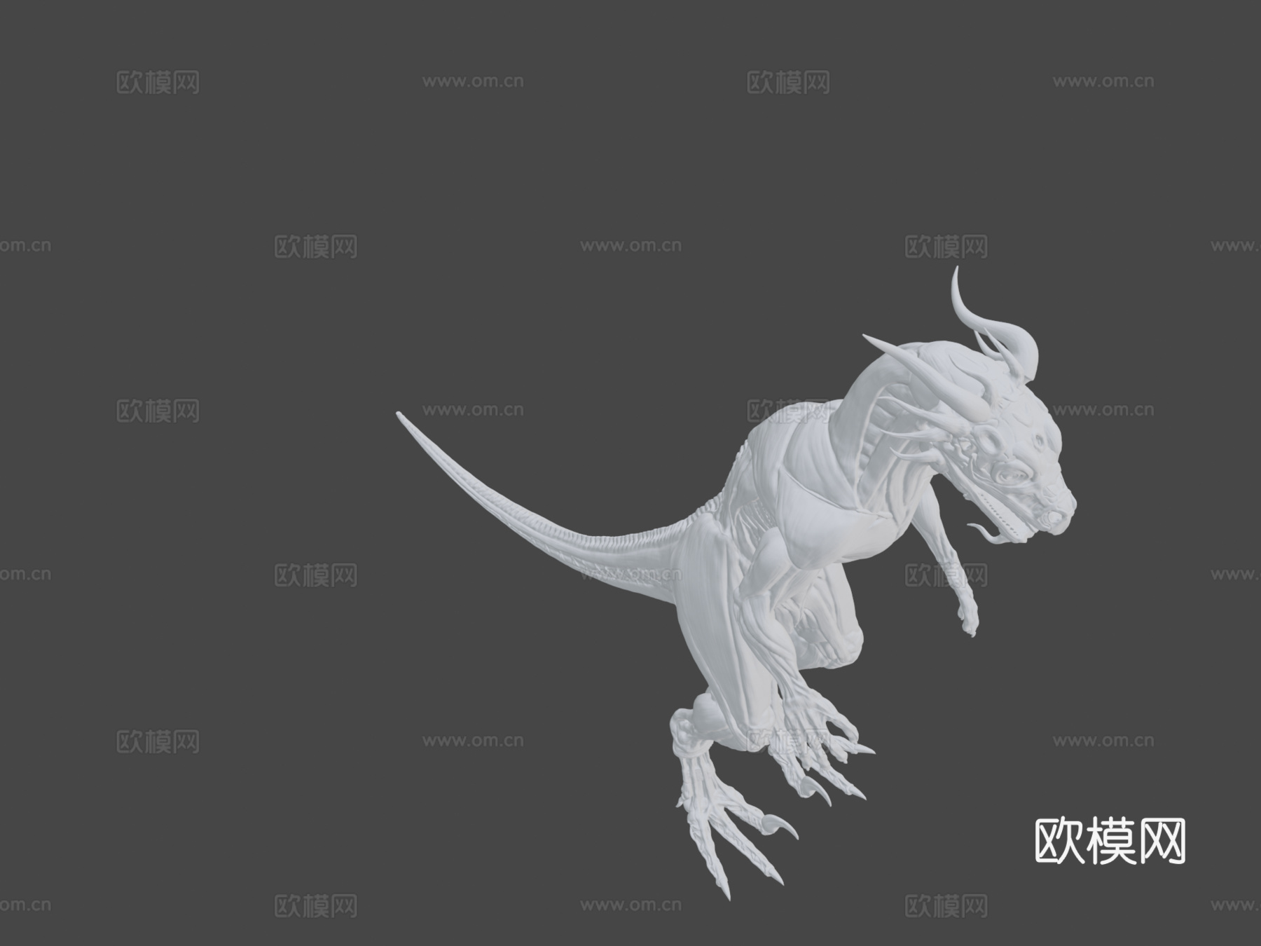 希萨里肌肉解剖参考3d模型