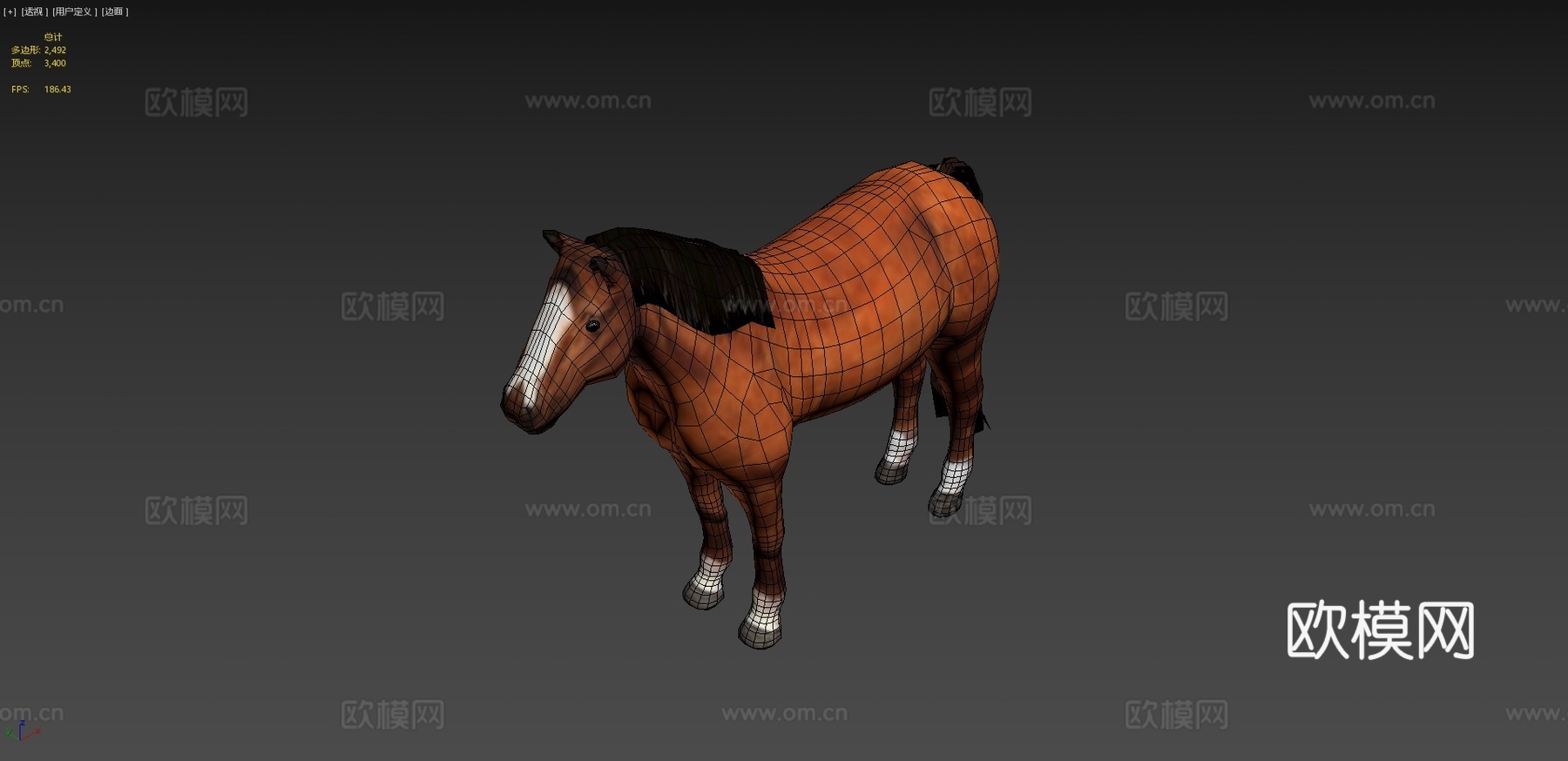 带纹理的马3d模型