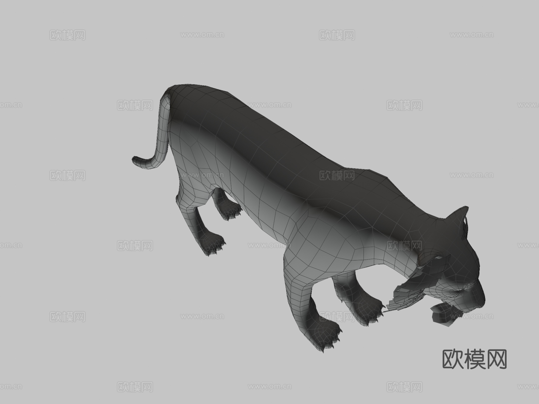 老虎3d模型