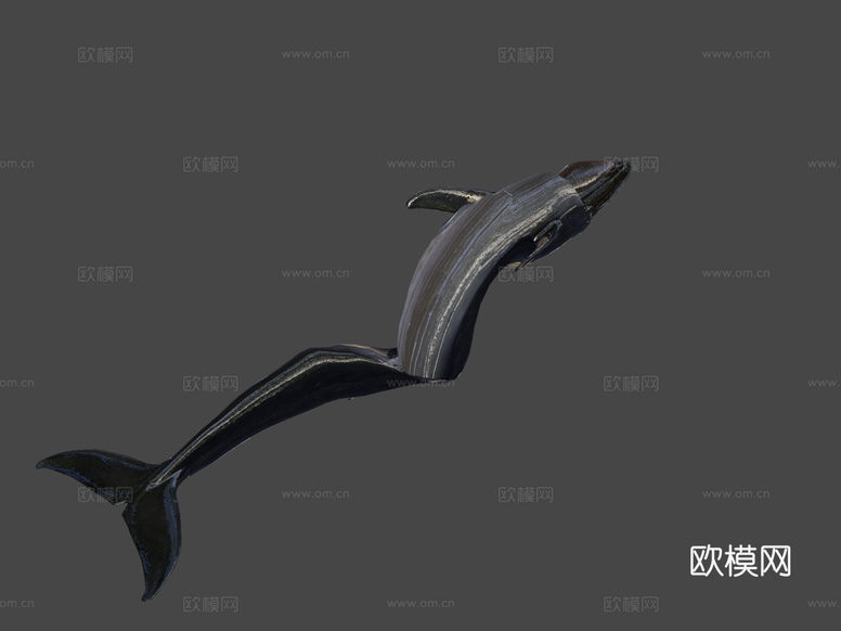 蓝鲸3d模型下载(渲染图8)