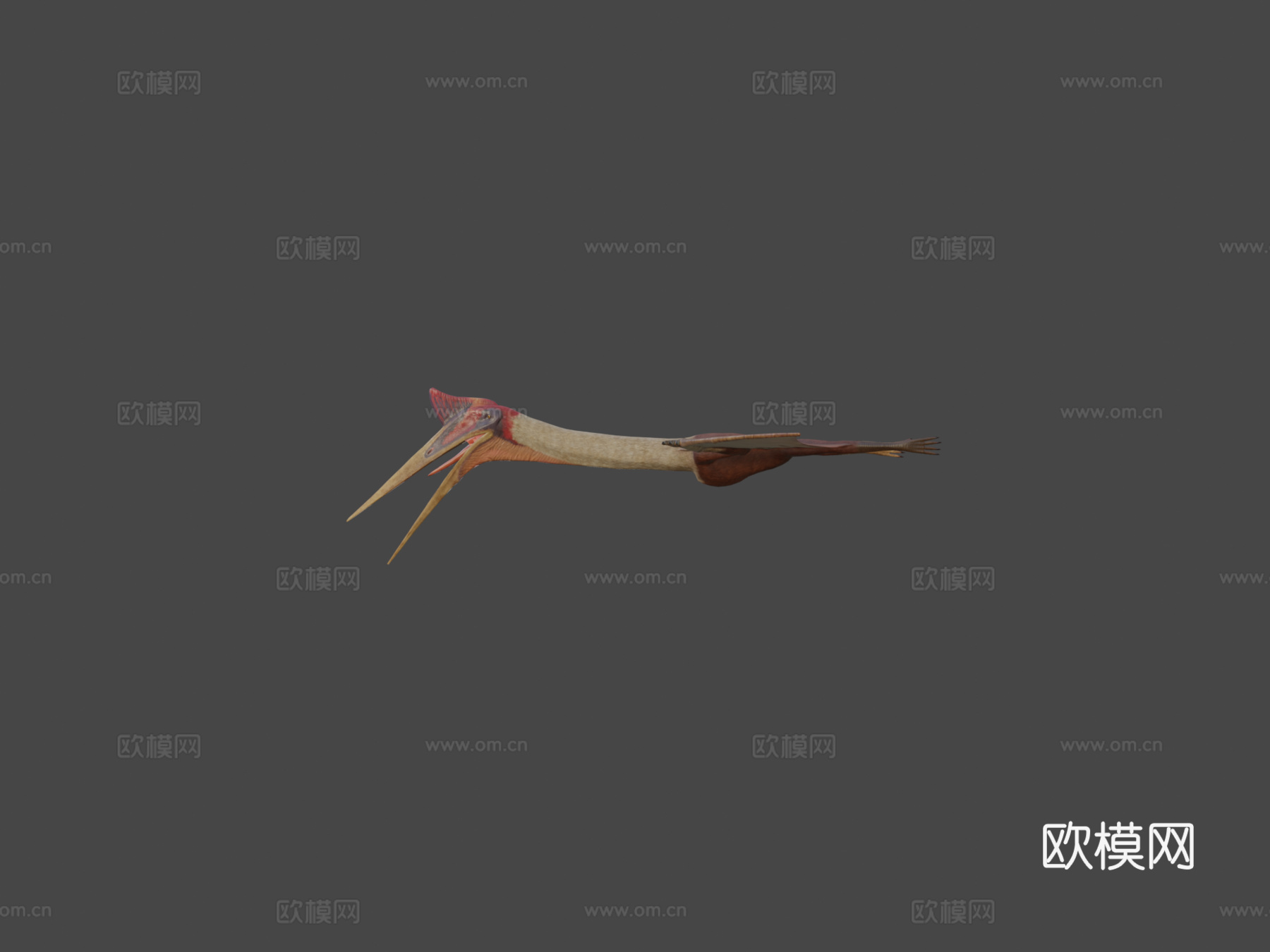 风神翼龙3d模型
