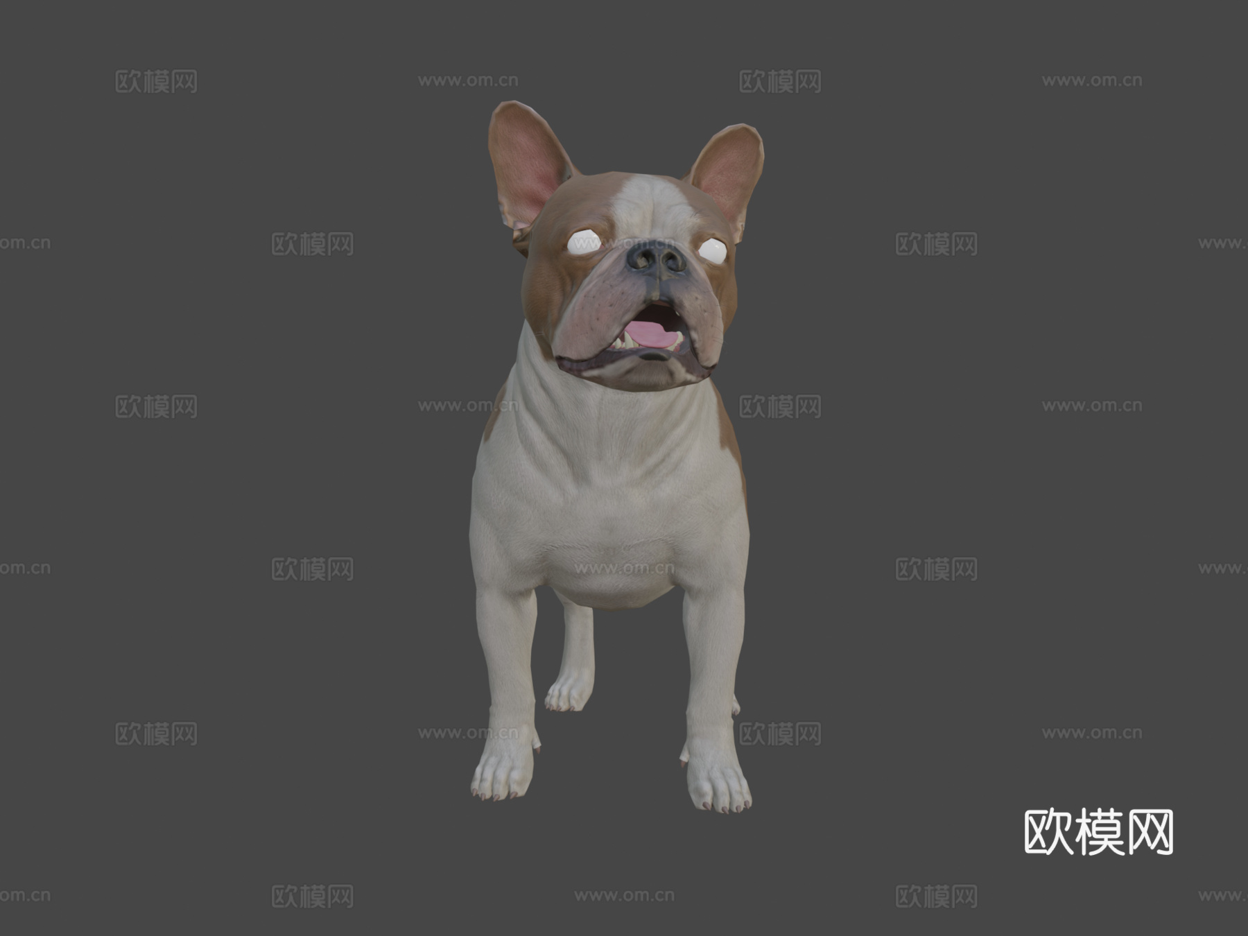 法国斗牛犬3d模型