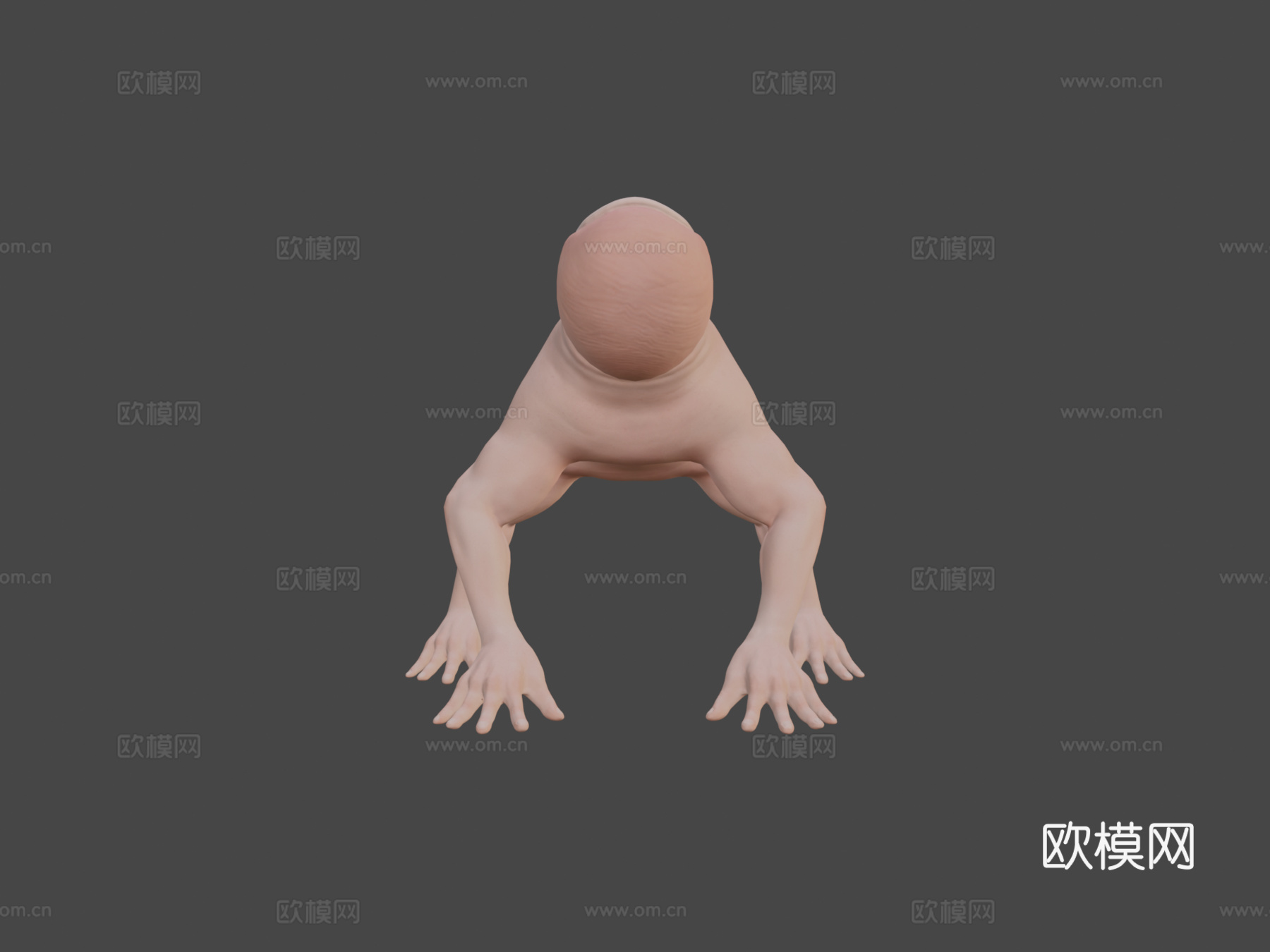 手指蜘蛛[仅模型]3d模型