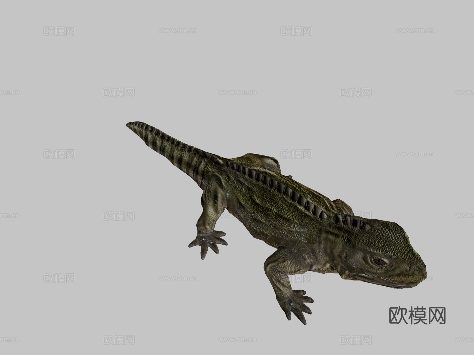 蜥蜴3d模型