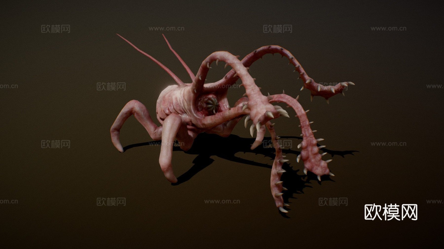 变形动画3d模型