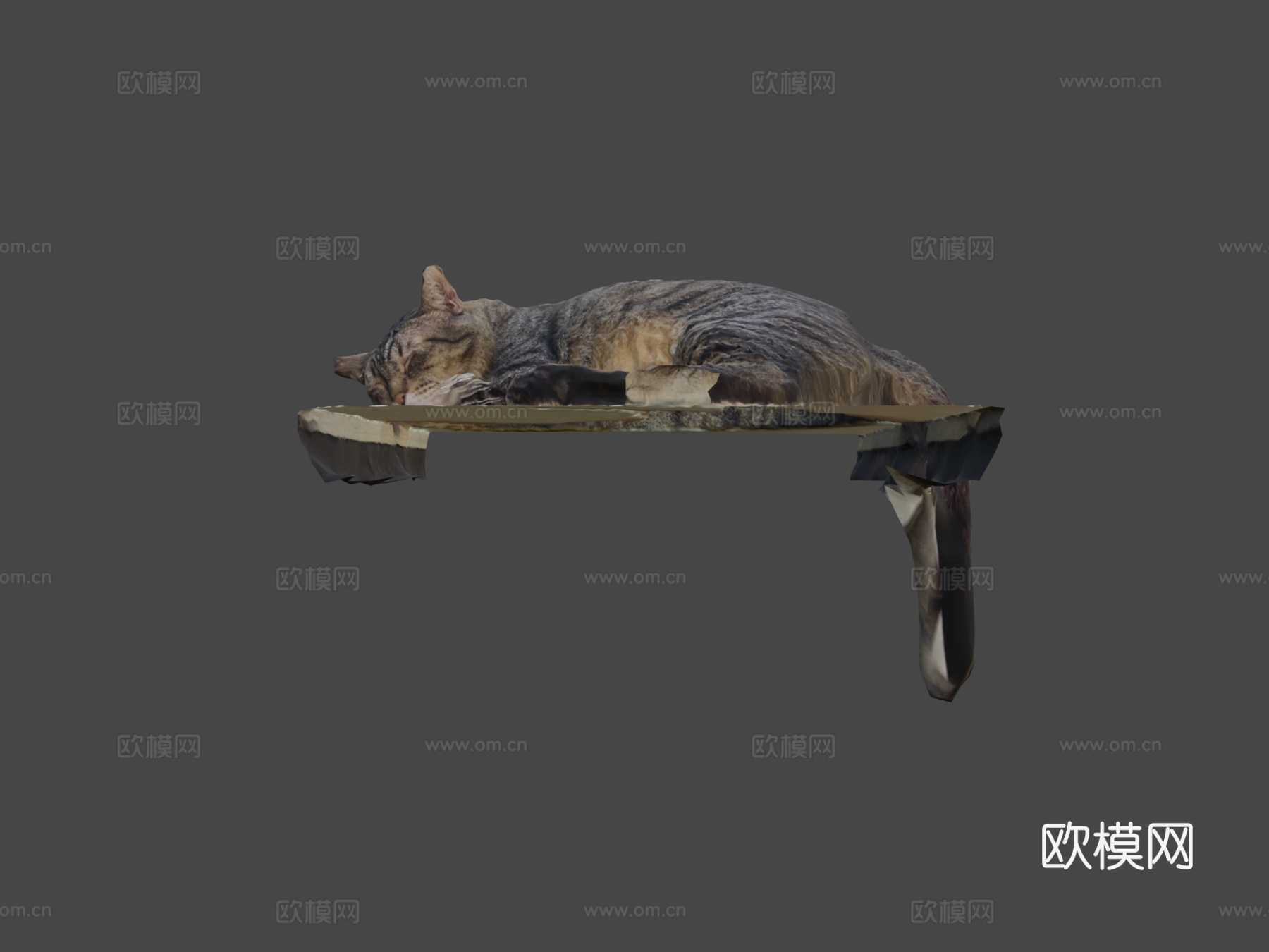 桌上睡猫-3D扫描3d模型