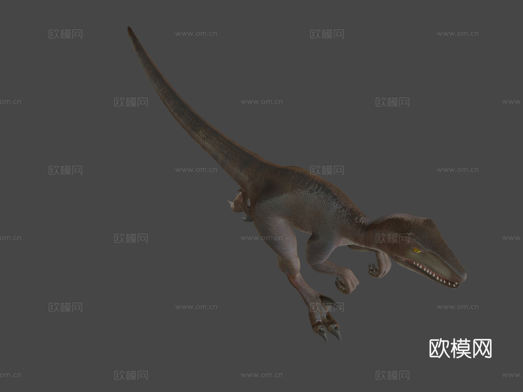 迅猛龙3d模型