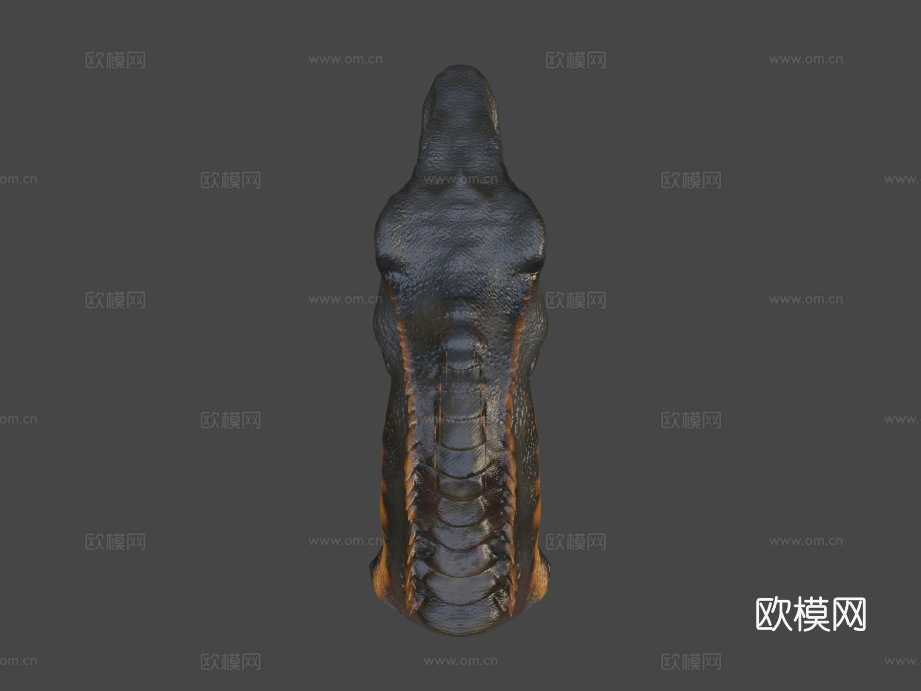 印度盗龙头部雕刻[动画]3d模型