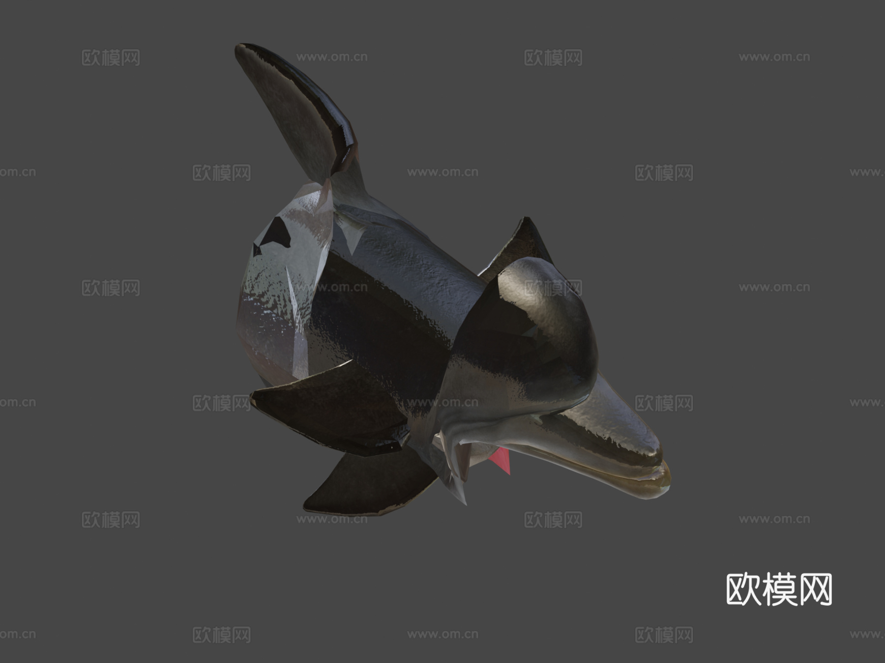 海豚3d模型