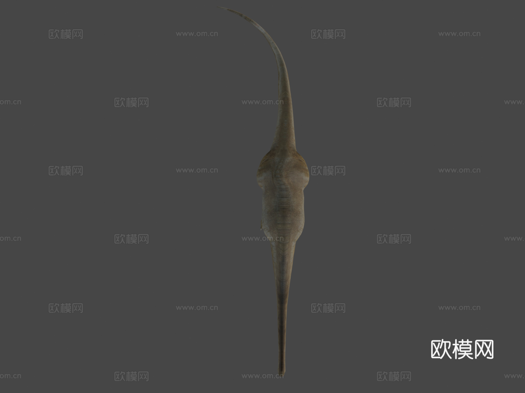 马门溪龙3d模型