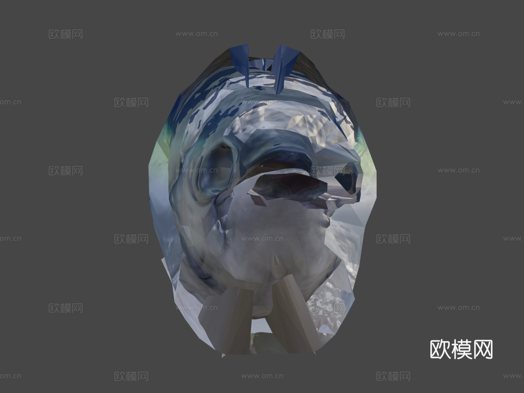 金枪鱼(GoldenZtuff)_13d模型