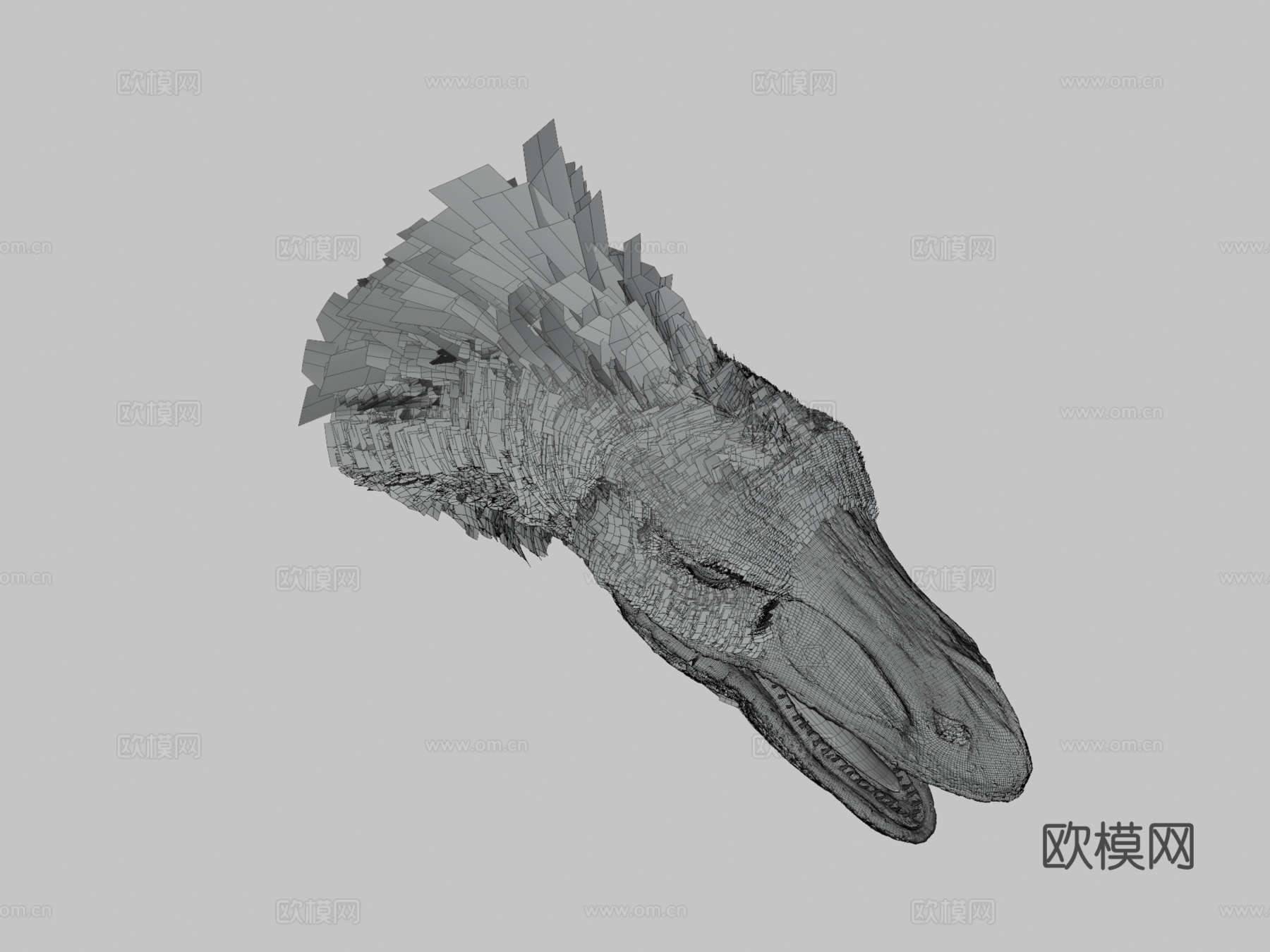 迅猛龙头部测试3d模型