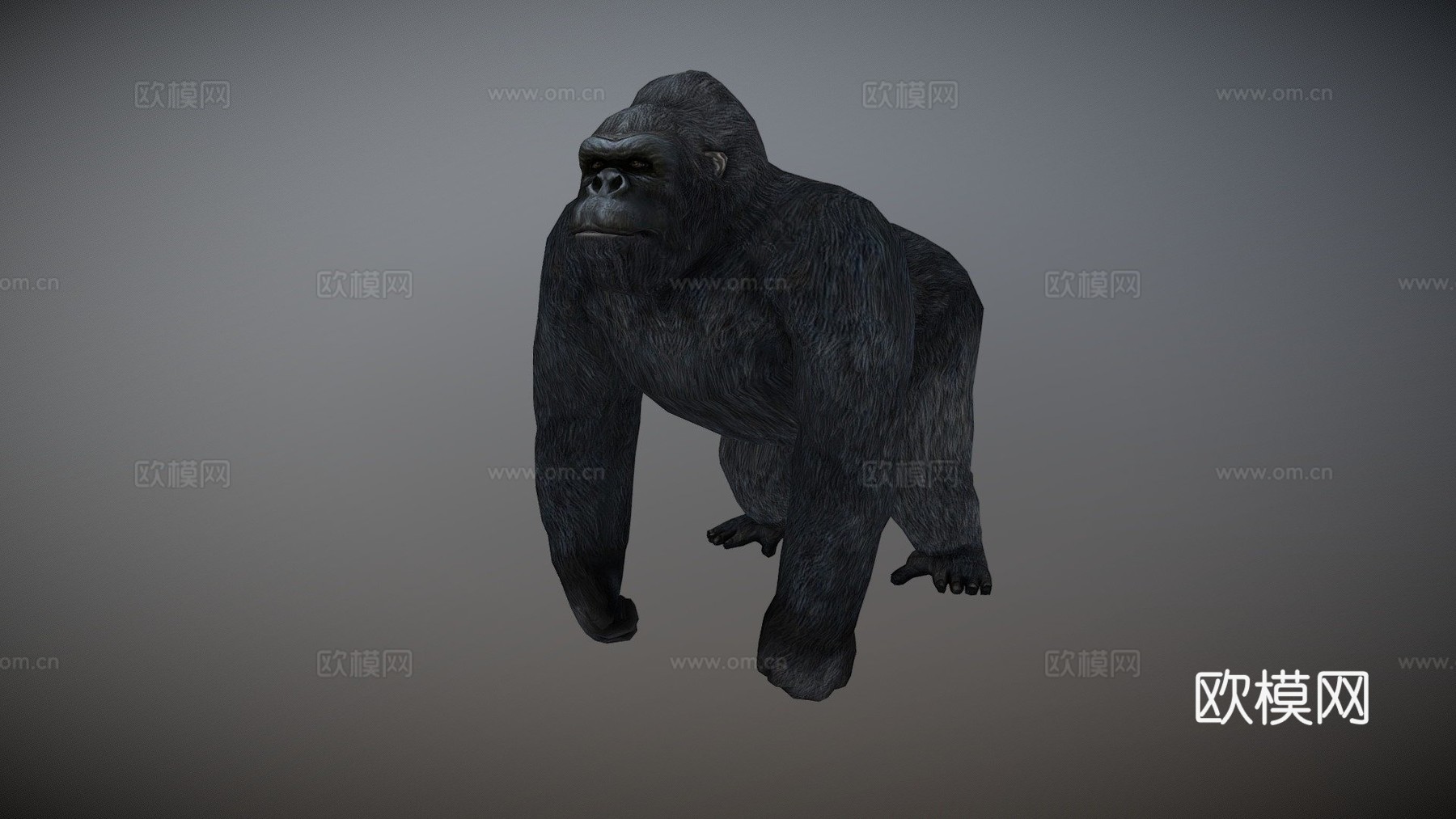 动画大猩猩3d模型
