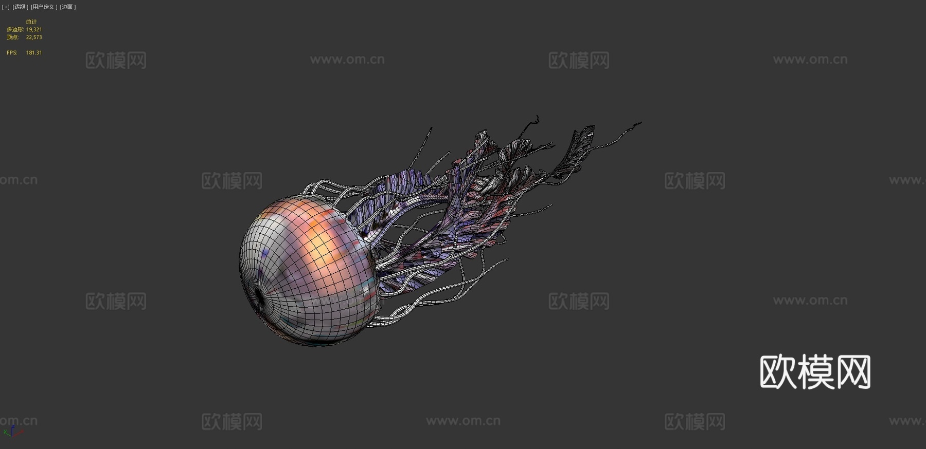 水母_0013d模型