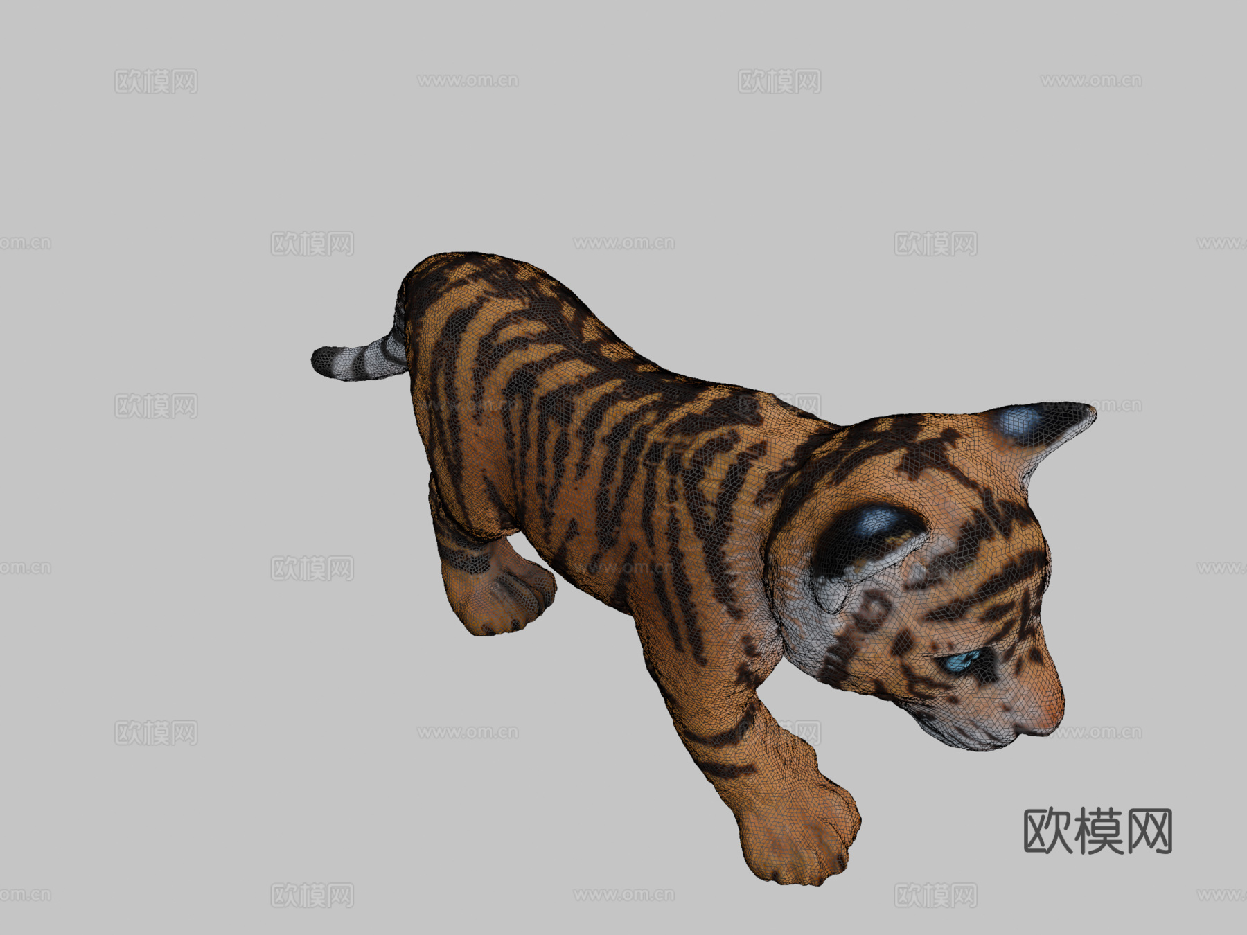 迷你虎崽3d模型