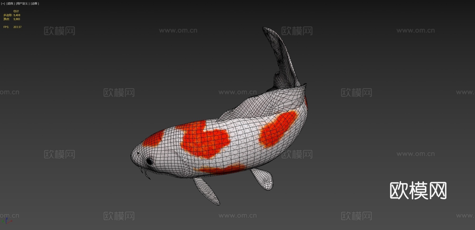 锦鲤3d模型