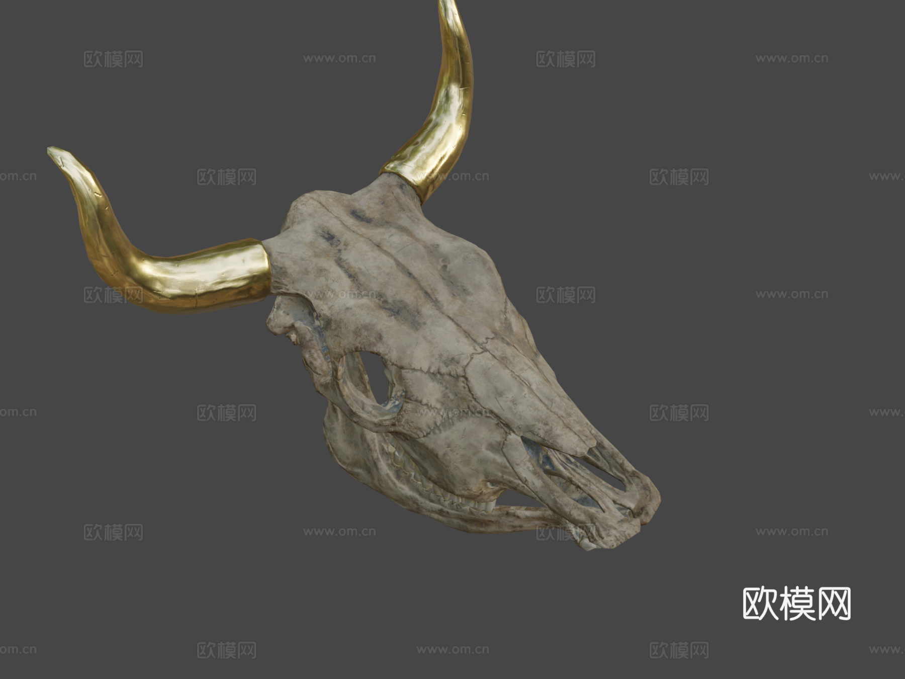 牛头骨3d模型