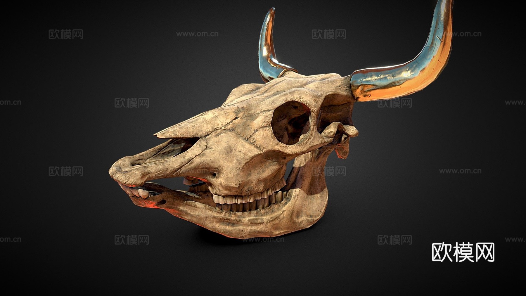 牛头骨3d模型