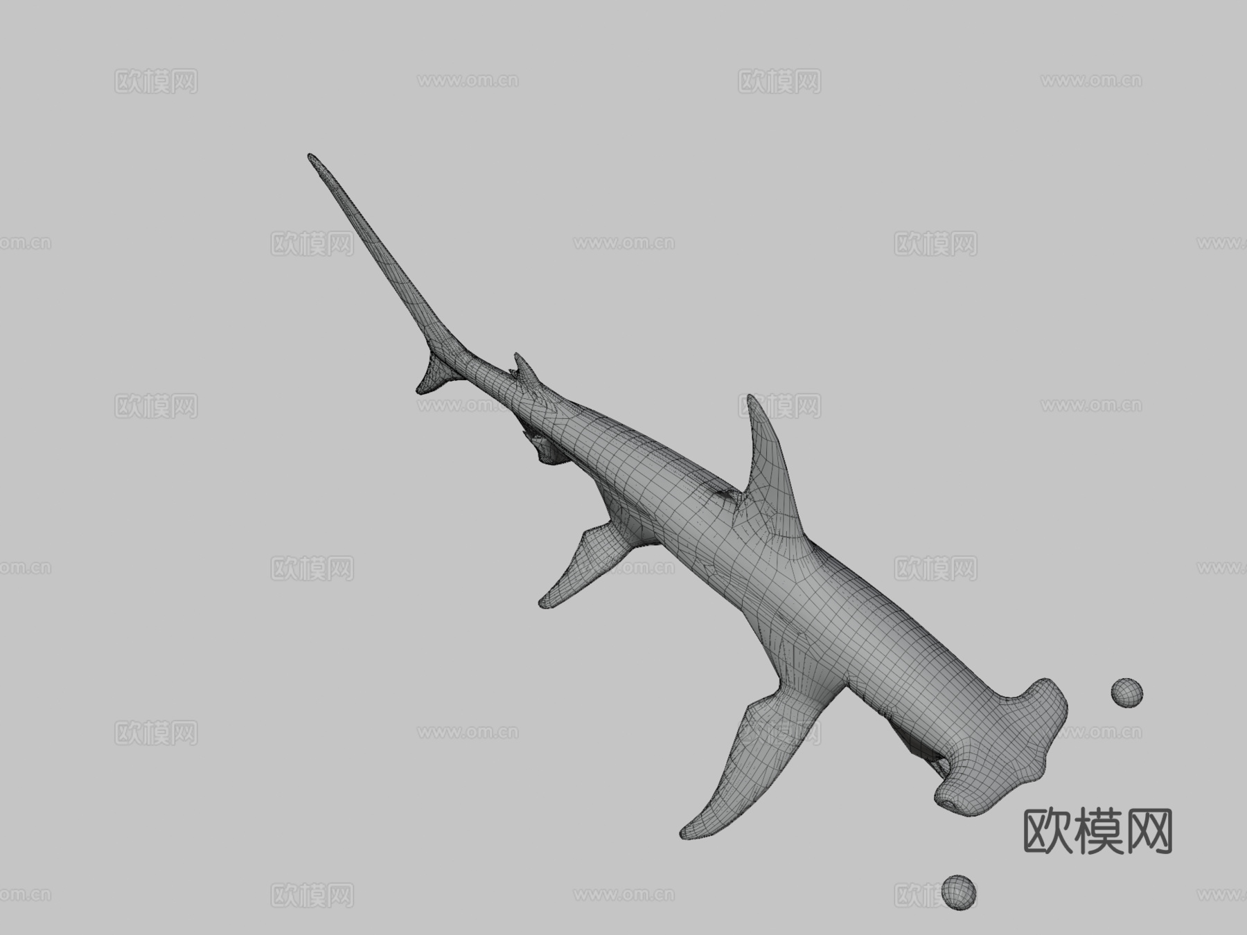 锤头鲨3d模型