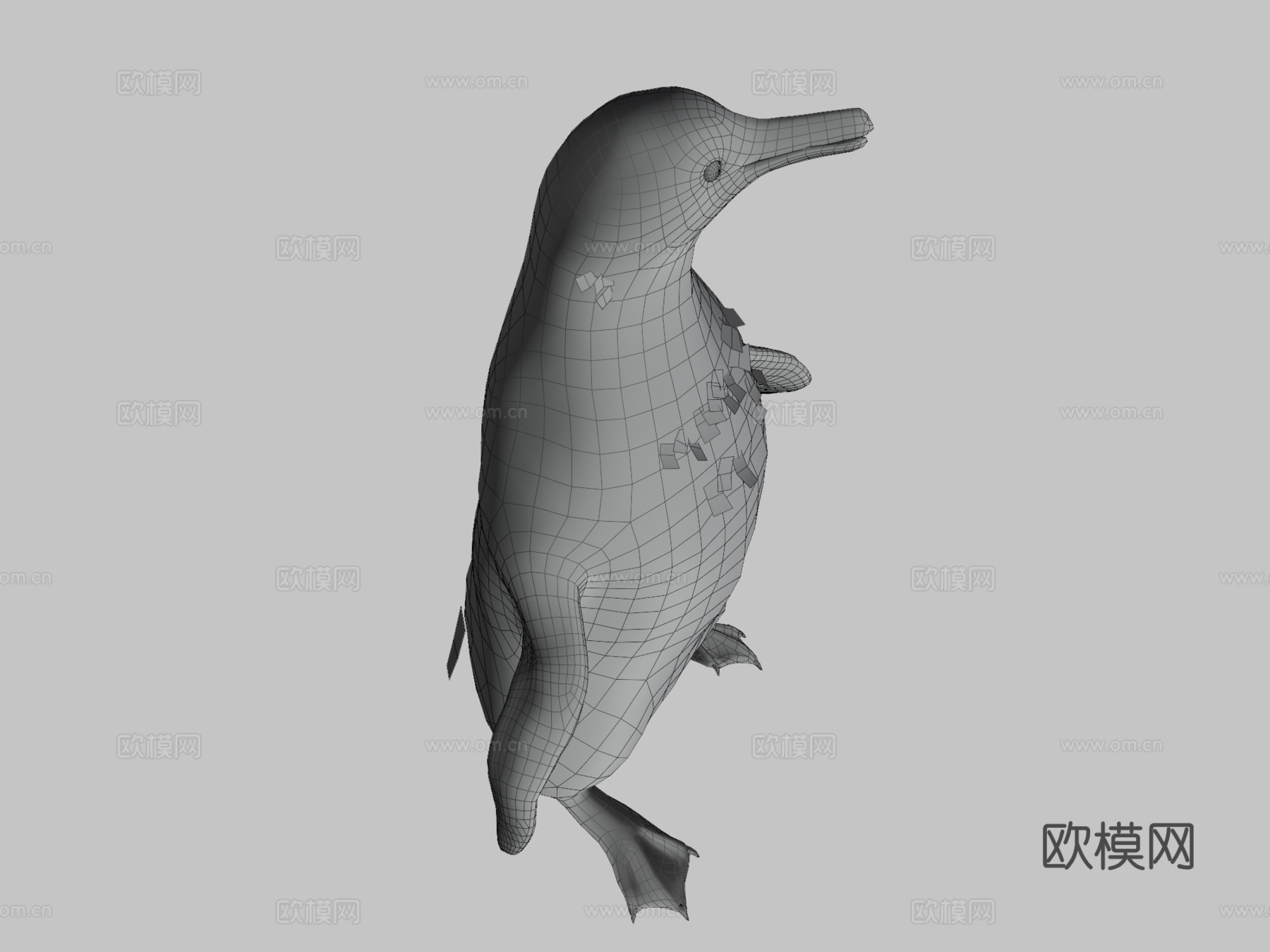 企鹅3d模型