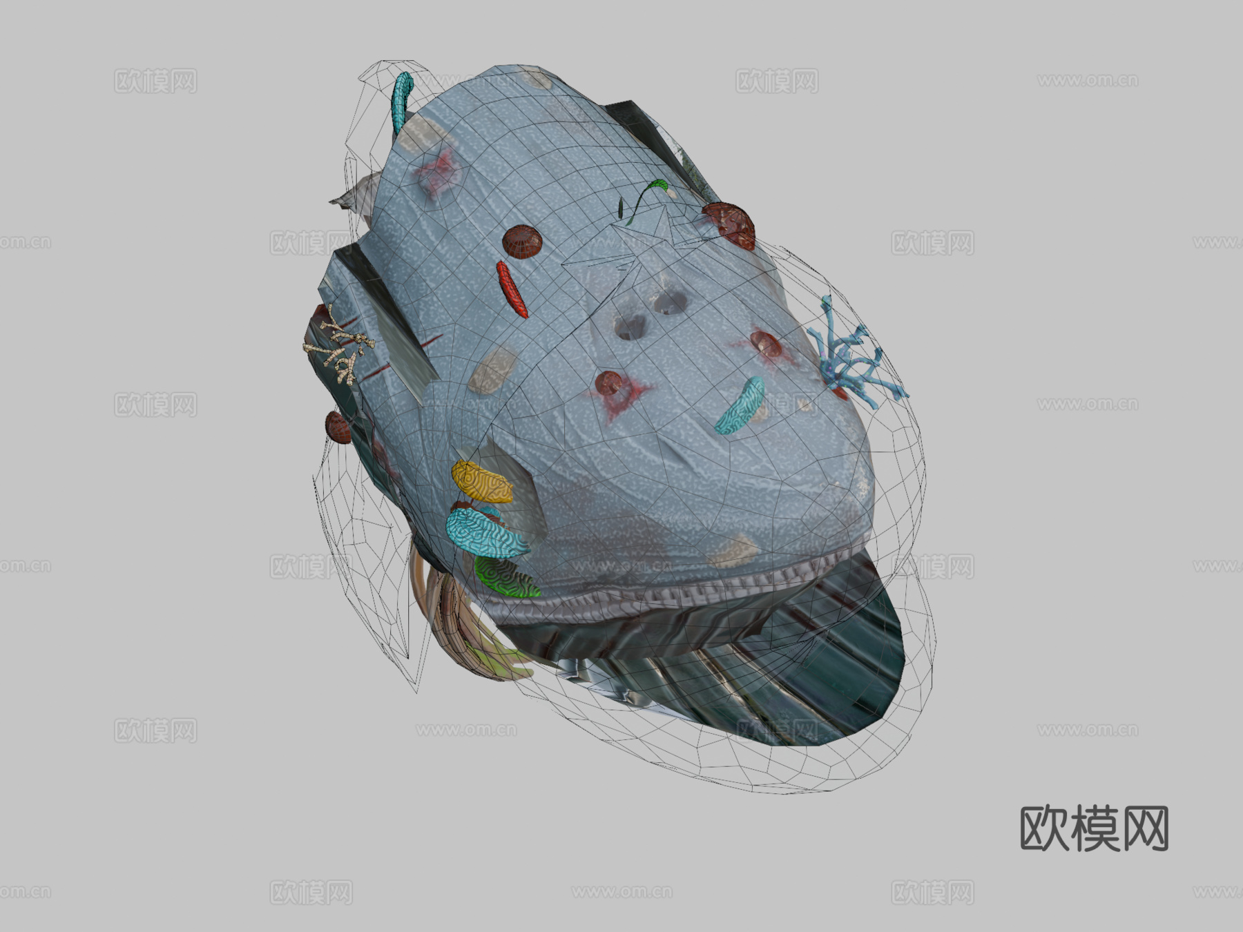 面纱之鲸-风格化动画模型3d模型