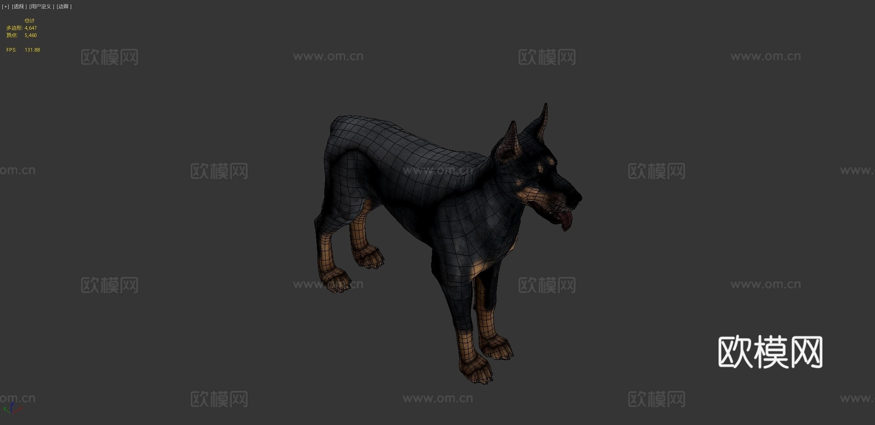 狗-杜宾犬3d模型