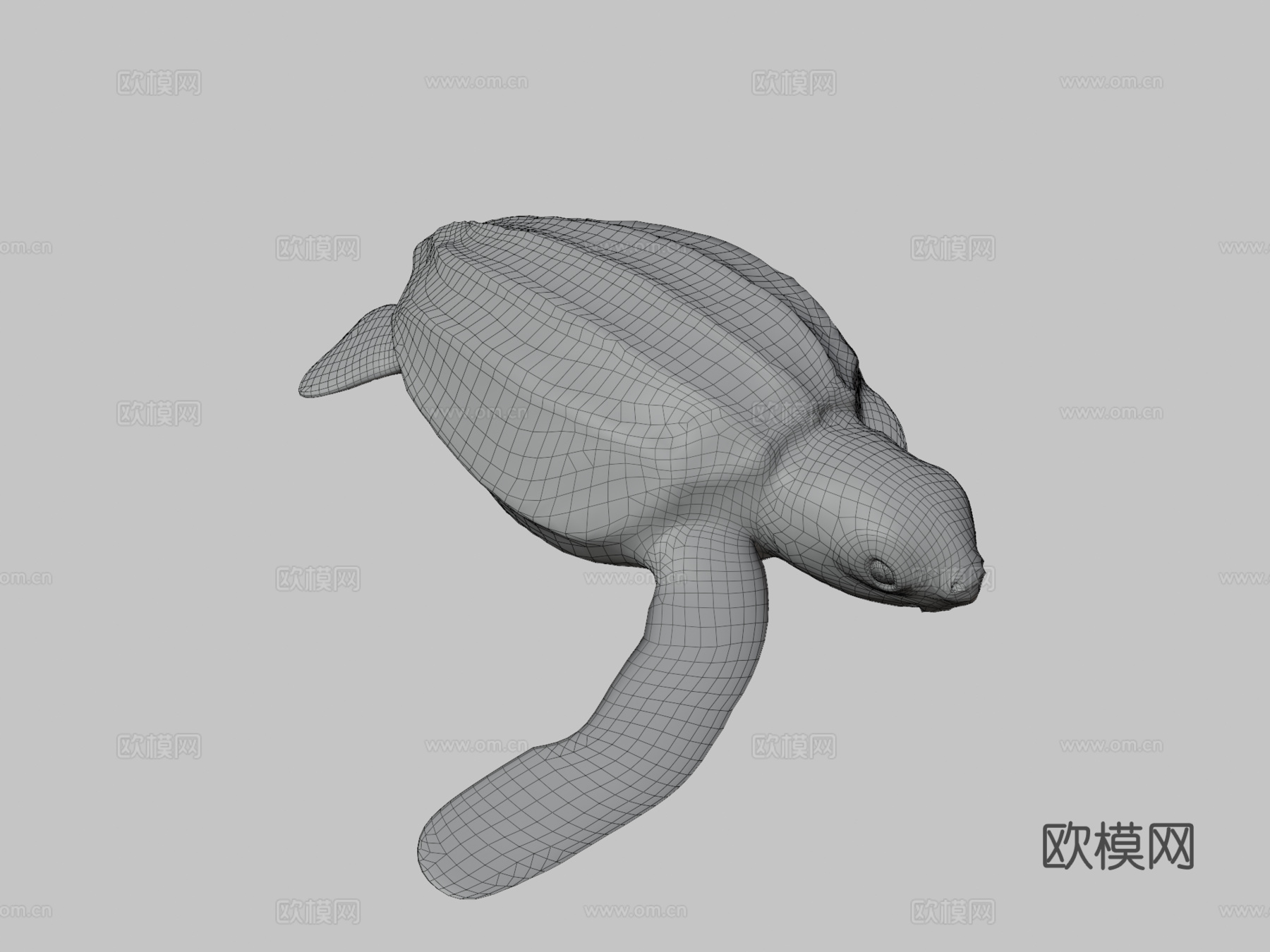 A模型幼年棱皮龟3d模型