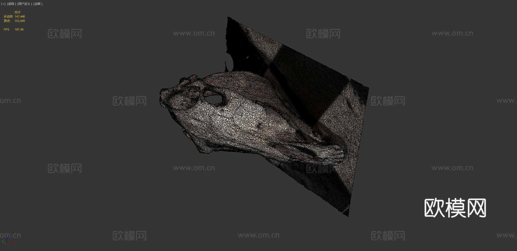 马头骨3d模型