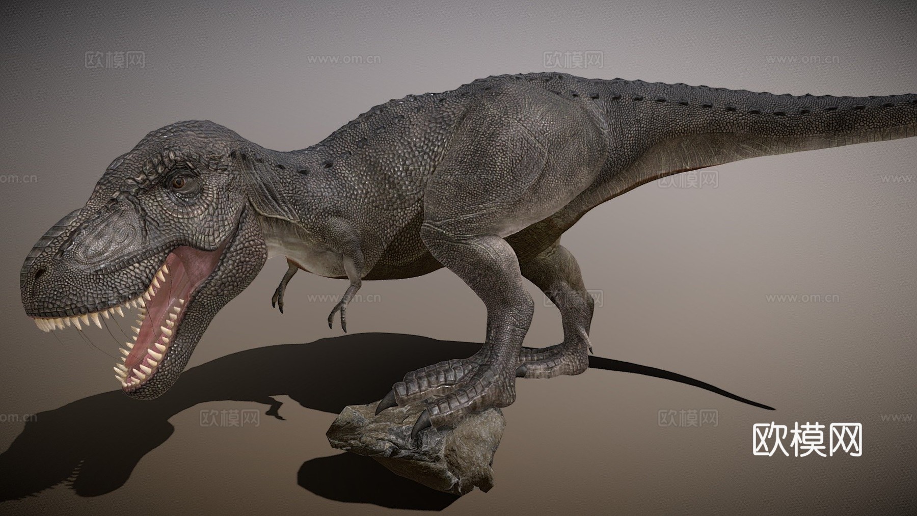 霸王龙3d模型