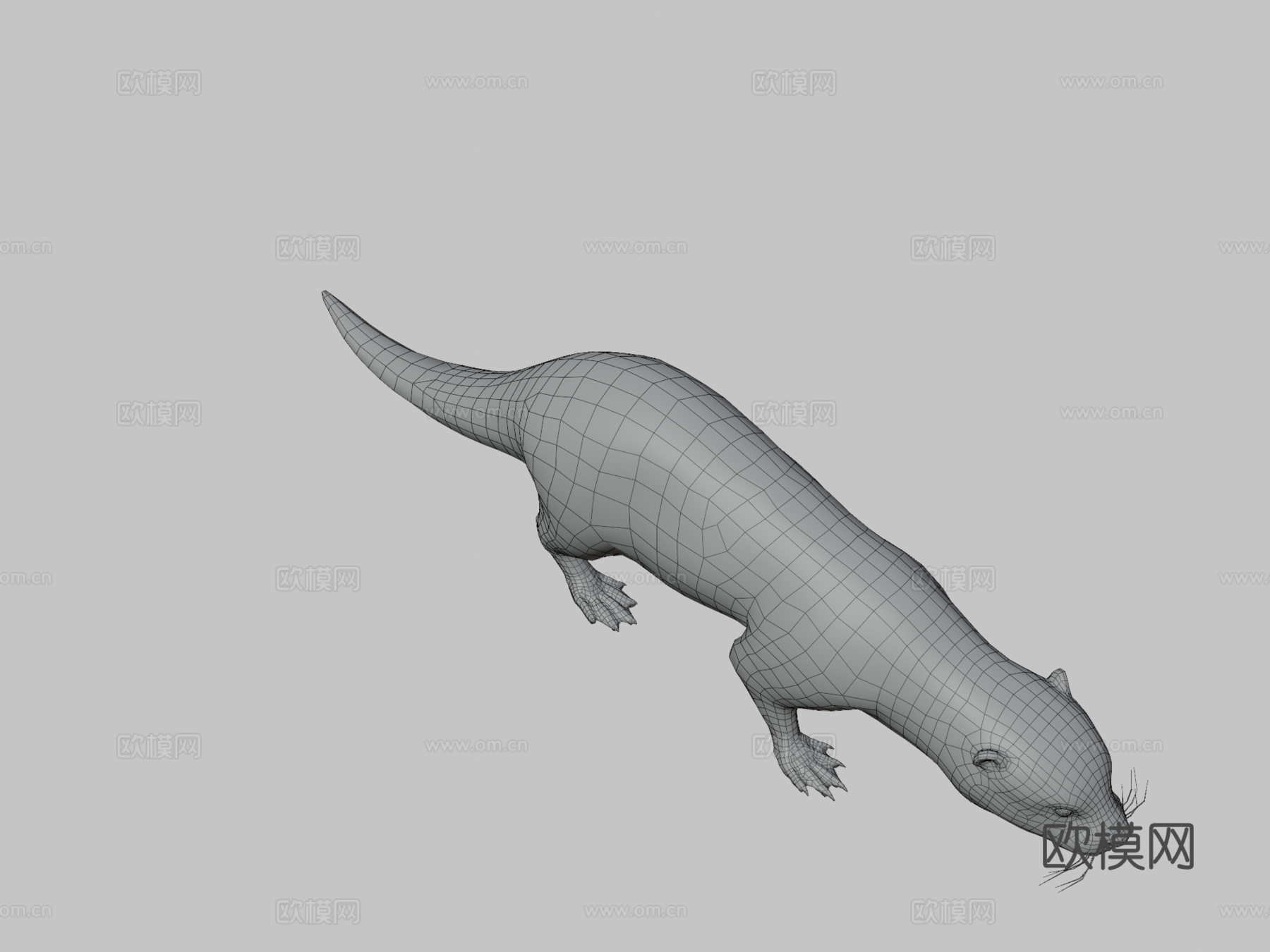 水獭3d模型
