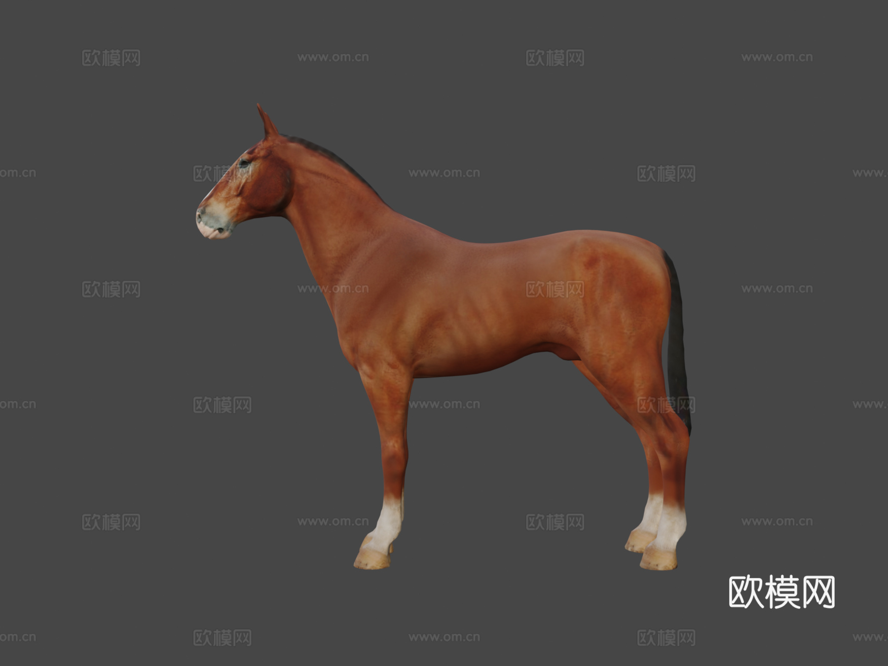 马基础网格3d模型