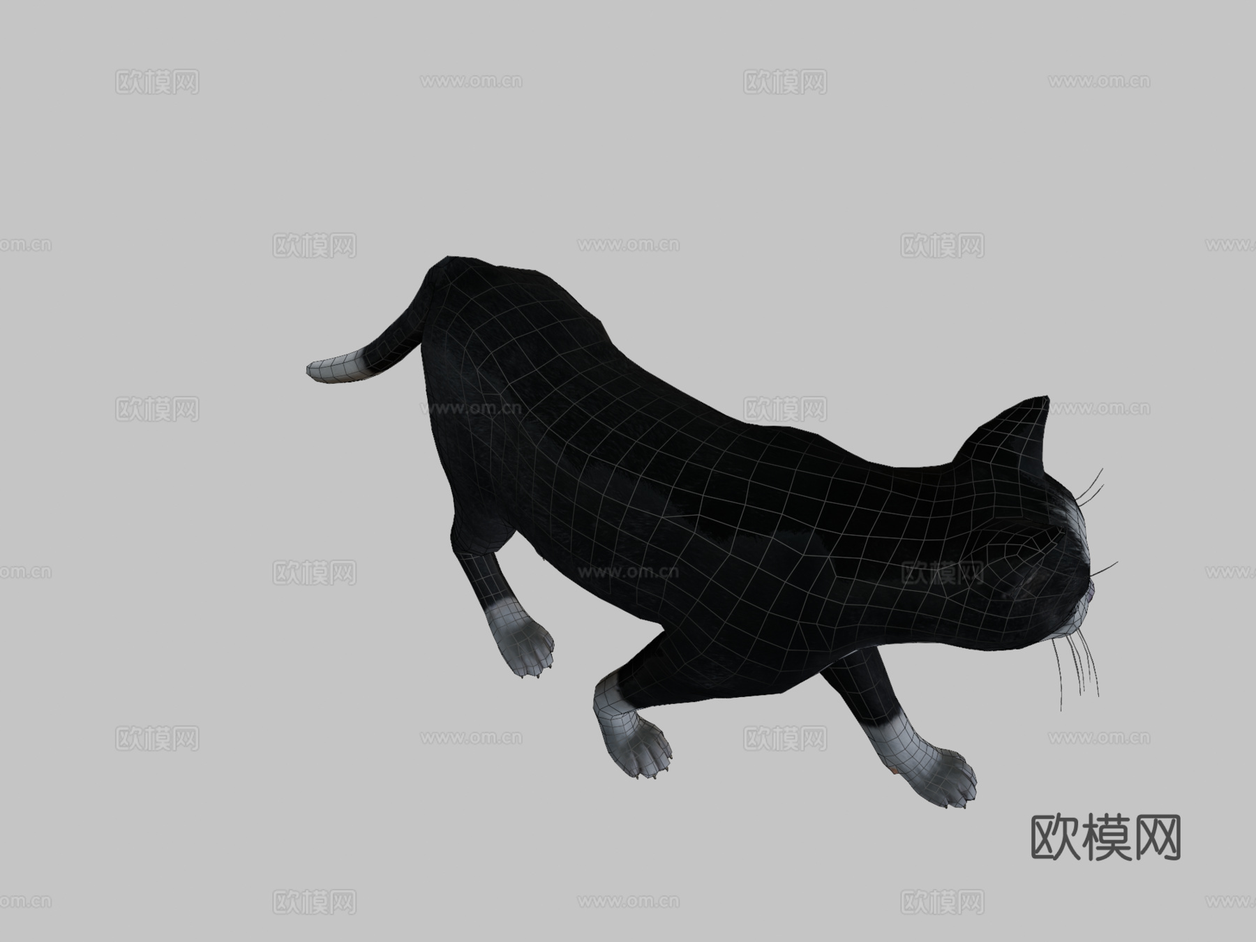 猫的所有动画3d模型