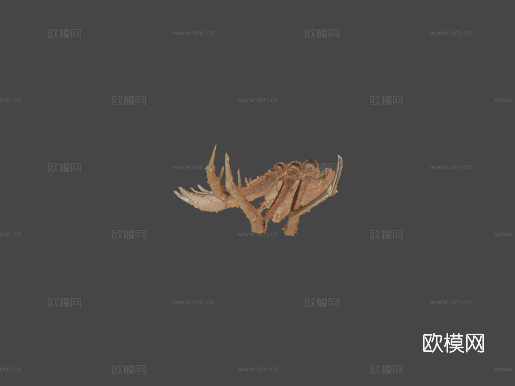 帝王蟹3d模型