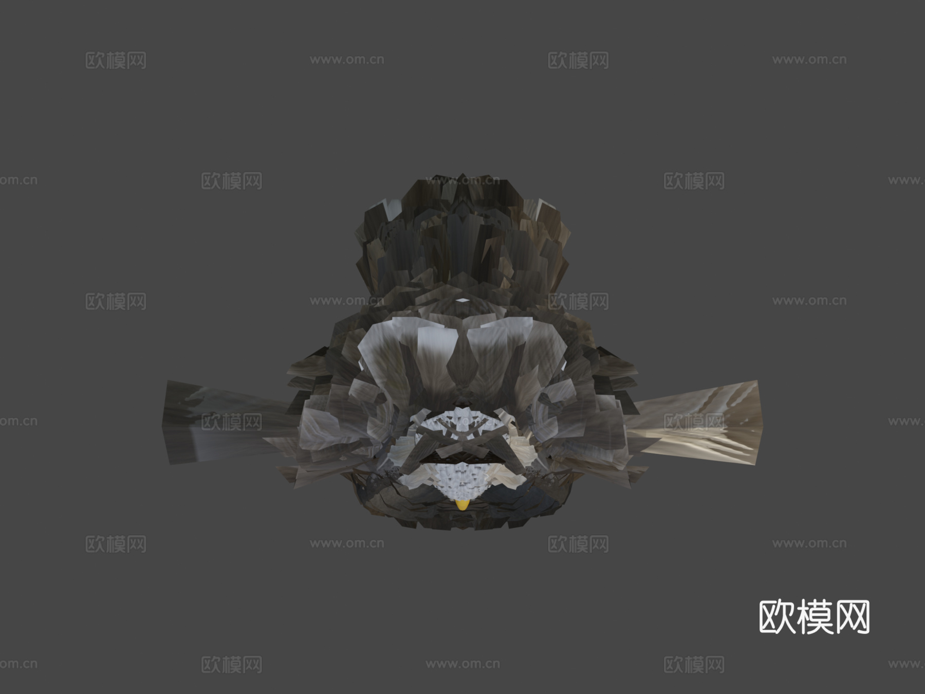 白头海雕3d模型